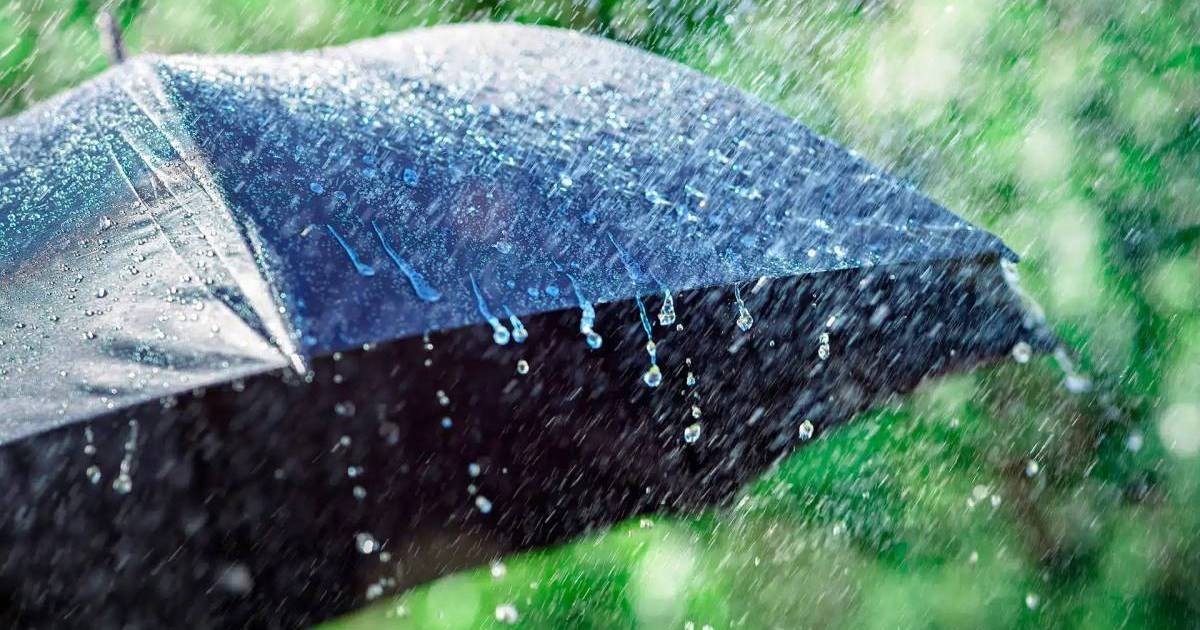 Жаңбыр жауып, күн суытады: 1 қазанға арналған ауа райы болжамы