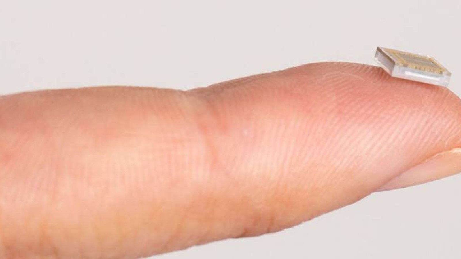 Депутаттарға чип орнату ұсынылды.