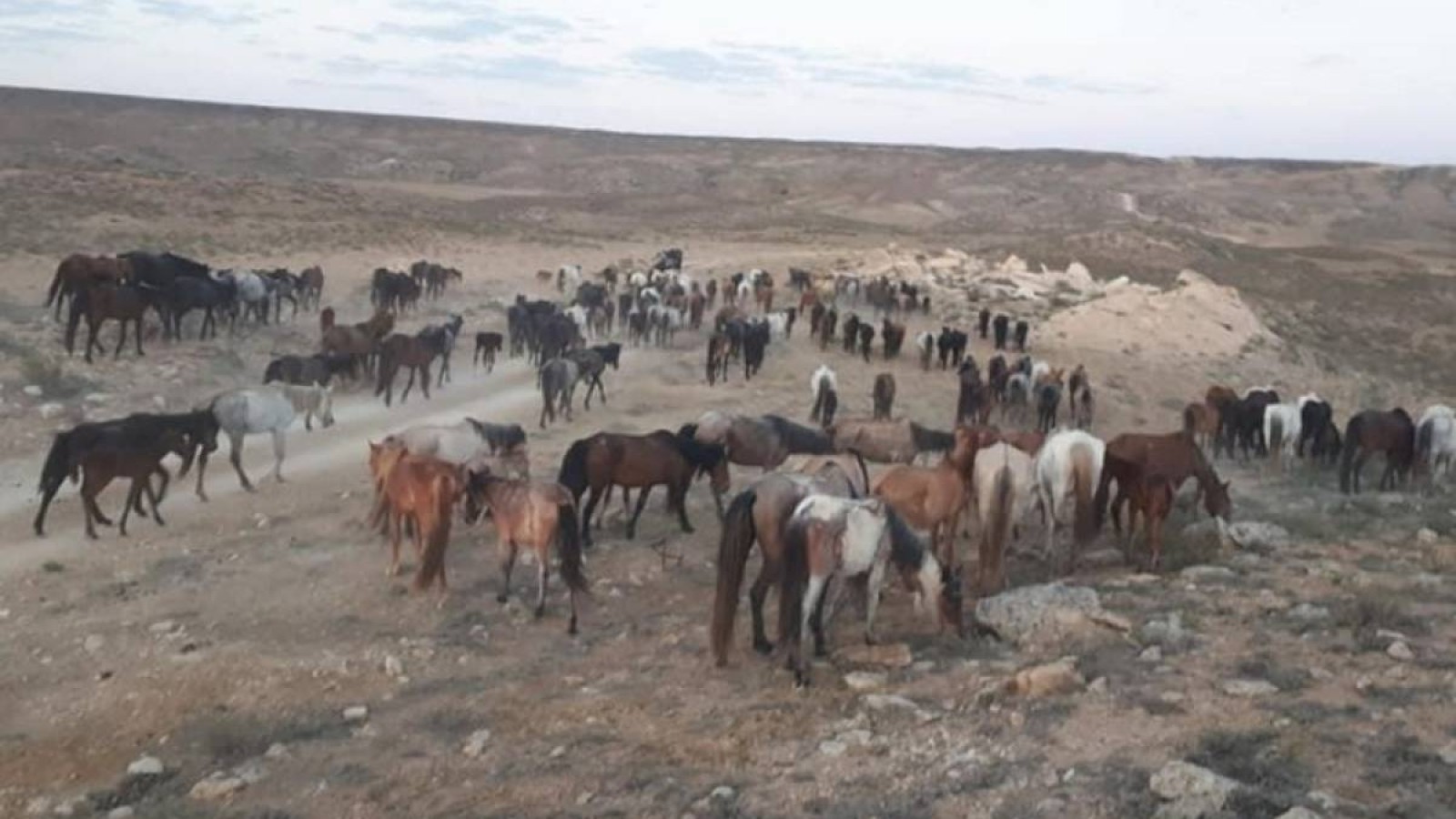 Министрлік халықтан ақша сұрап, реквизит жариялады.