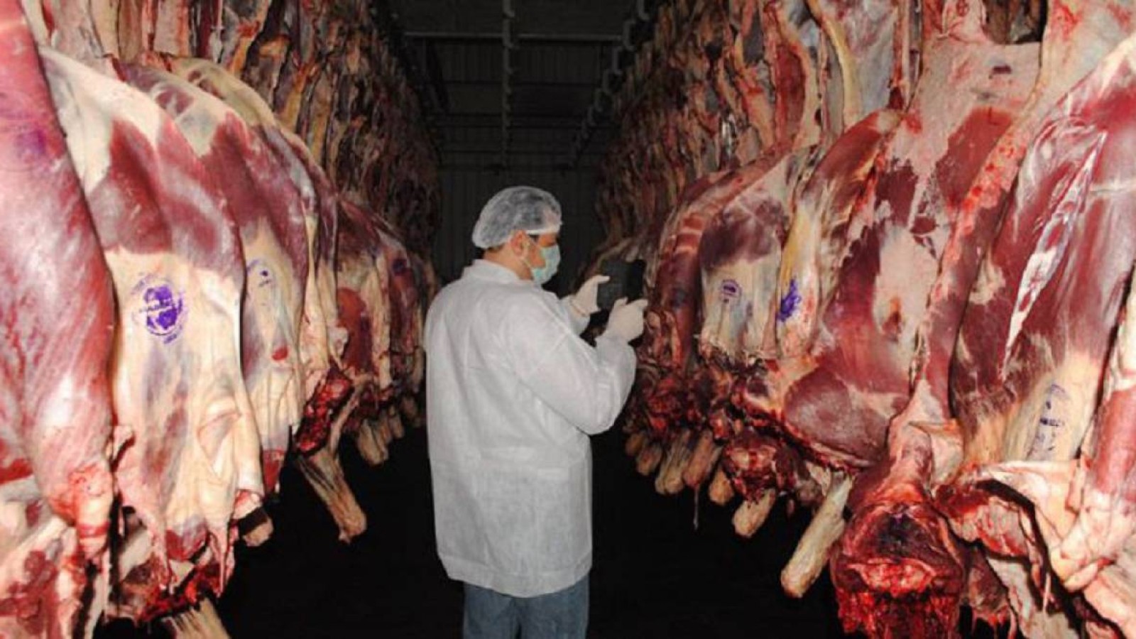 Оралдан Қытайға мұздатылған қой еті жөнелтілді.