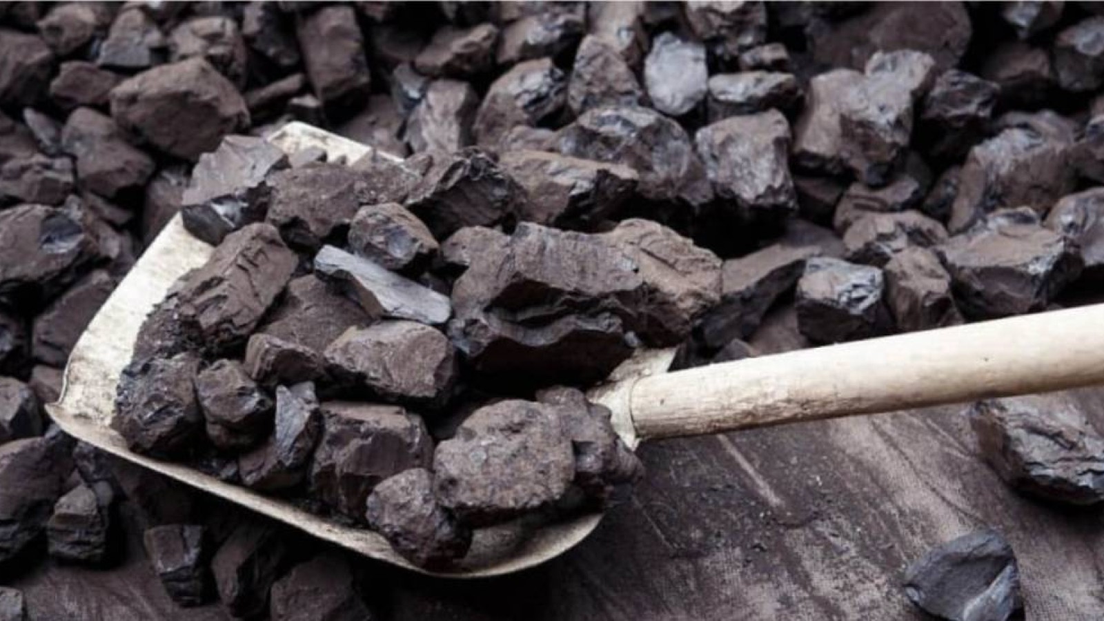 СҚО-да билік көмір тапшылығын жоюға асығар емес.