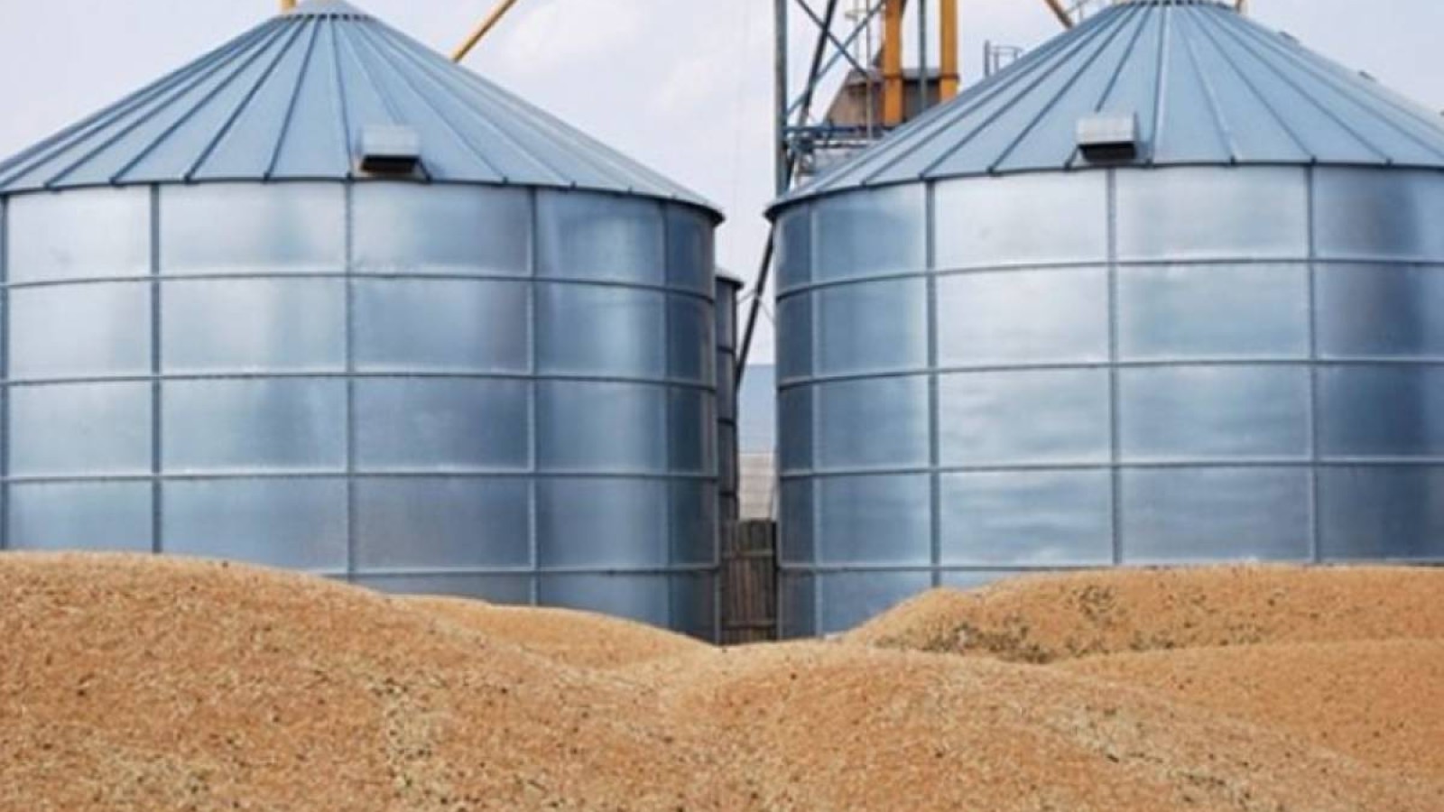 Бидай астында қалған элеватор жұмысшысы мерт болды.