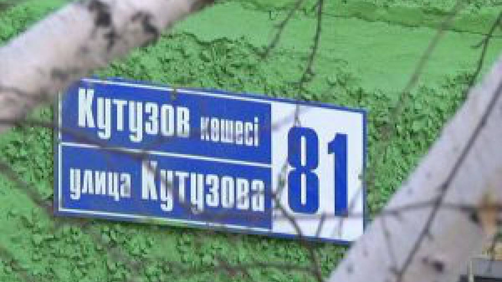 Құтылар күн бар ма екен Кутузовтан немесе Павлодар қашан құлдықтан шығады?.