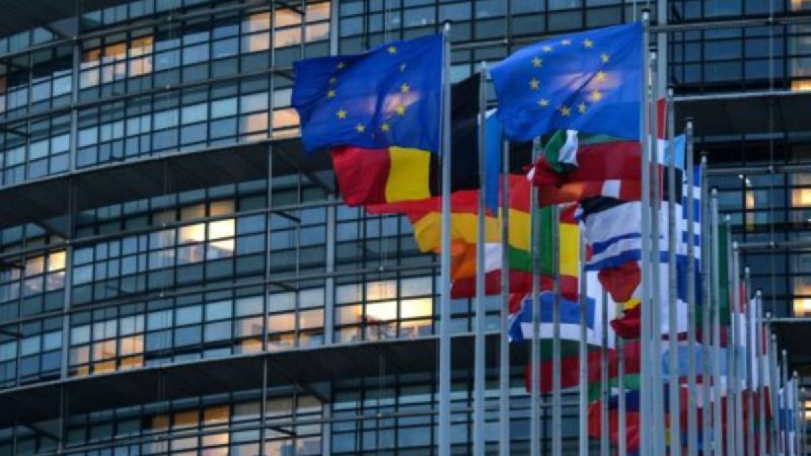 СІМ Еуропарламент қаулысына жауап берді.