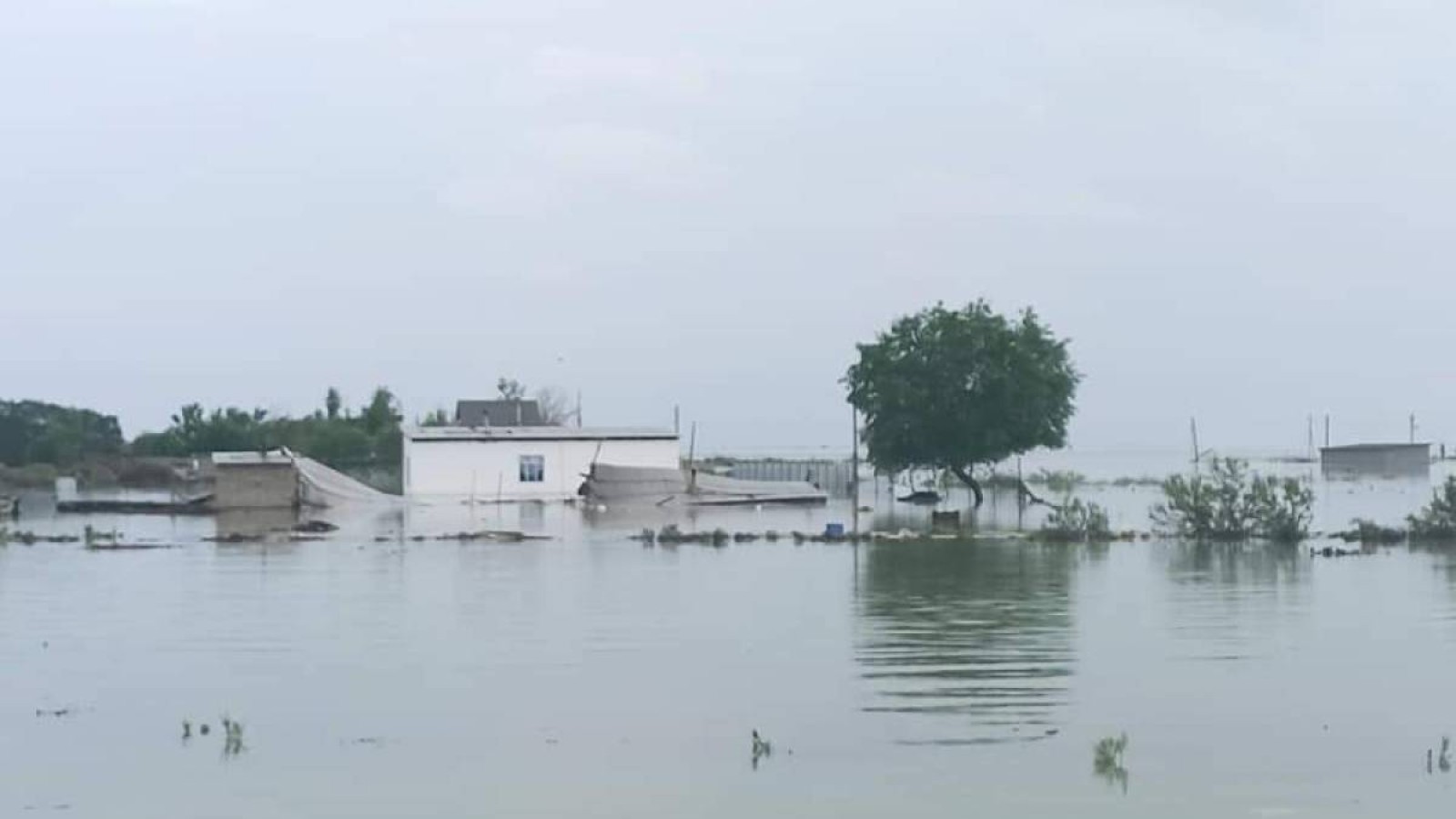 Мақтарал: 868 үй су астында қалуы мүмкін.