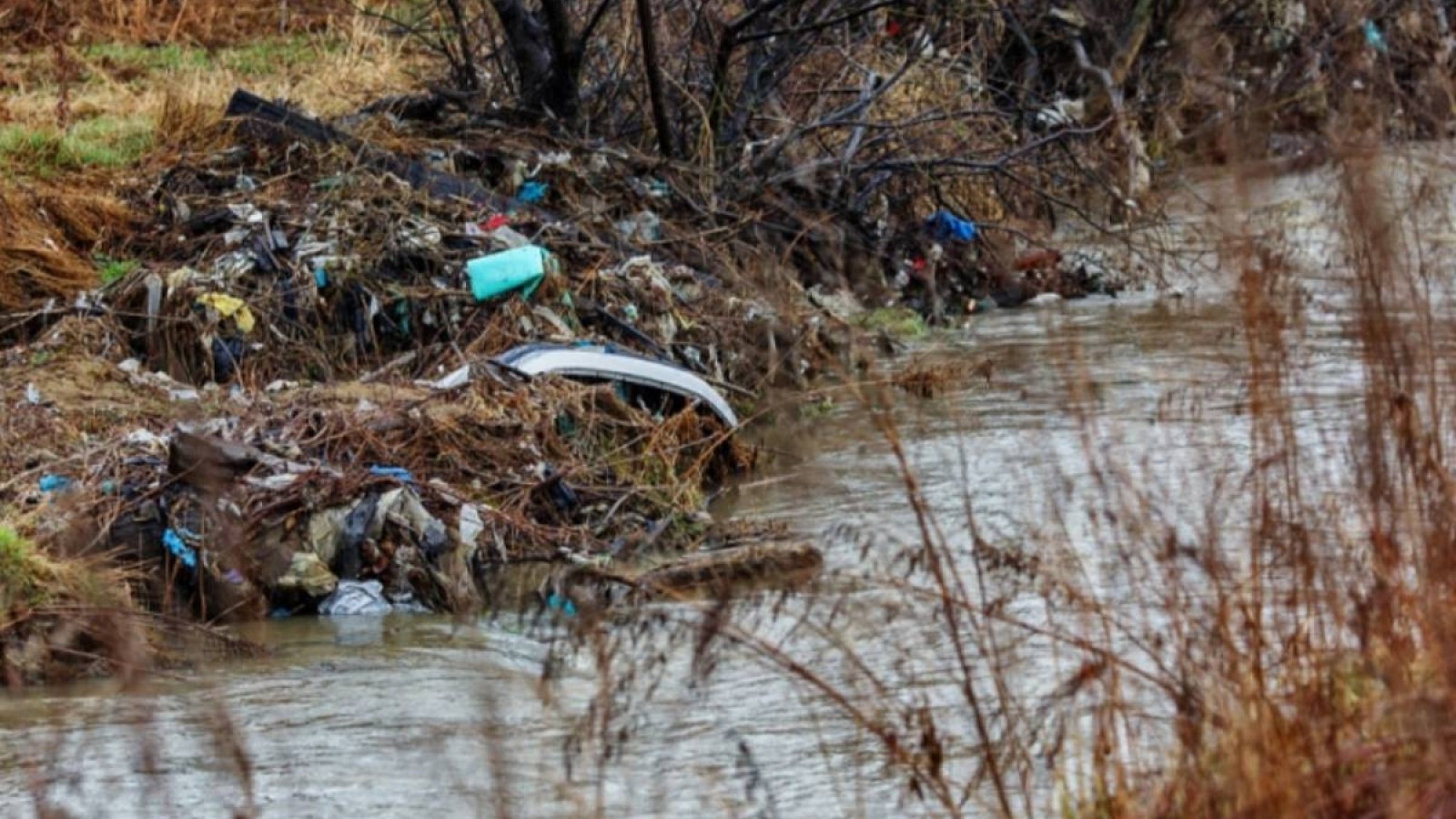 Таразда қапшықтан шыққан мәйітке қатысты сараптама тағайындалды.