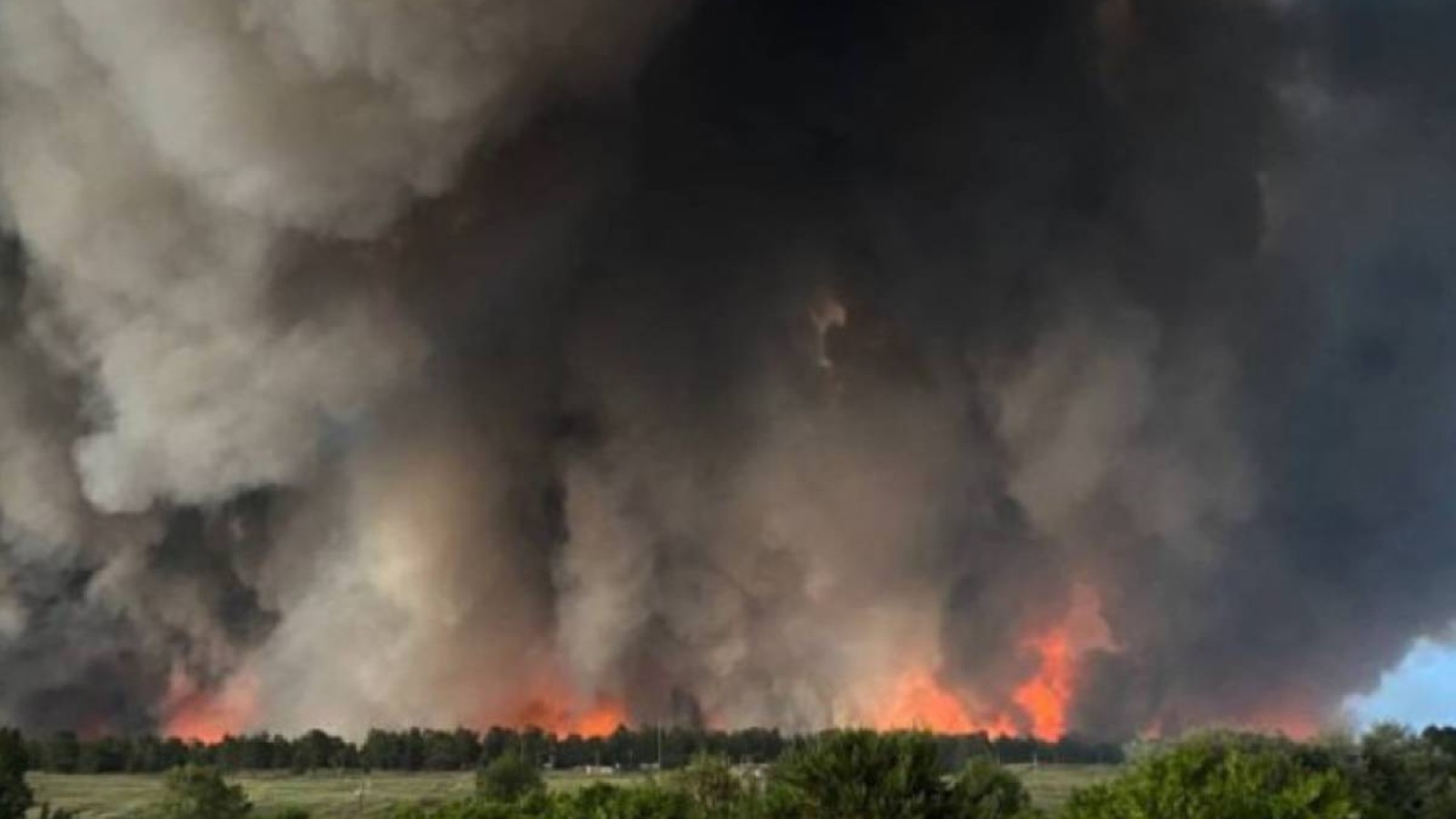 Абай облысындағы ірі орман өртіне қатысты қылмыстық іс сотқа жолданды.