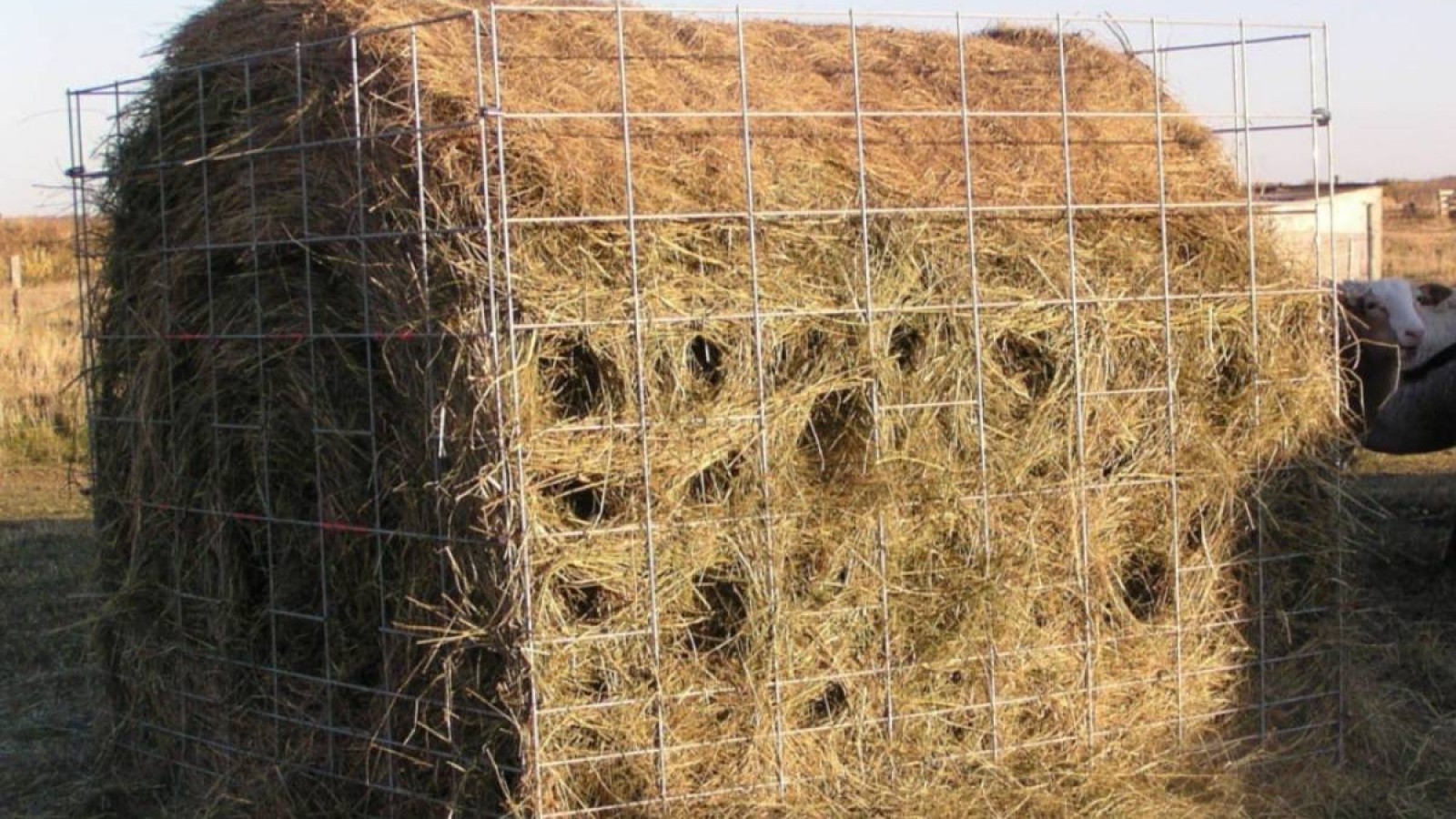 Министрлік «ҚТЖ» ұлттық компаниясынан көмек сұрады.