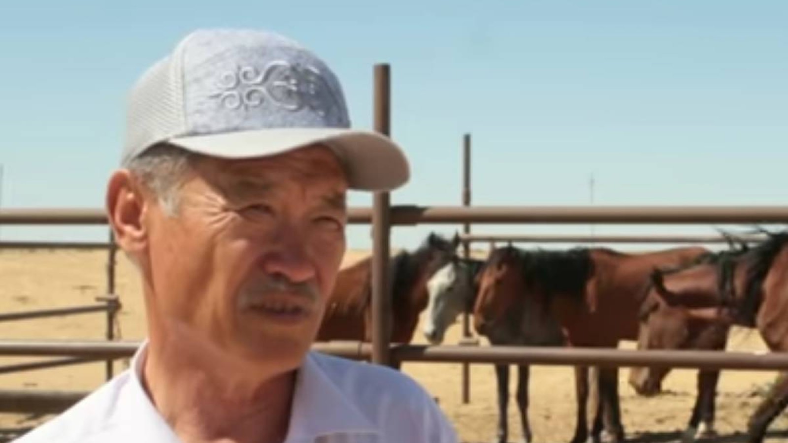 Маңғыстауда қуаңшылықтан қиналған елдің жағдайы жыларман күйде.