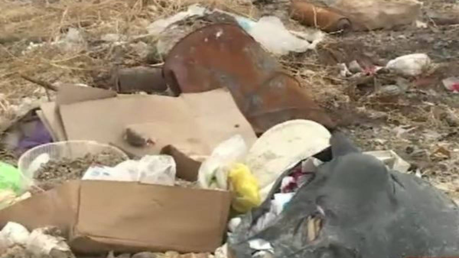 Ақтау әкімдігі қоқыспен күресе алмай отыр.