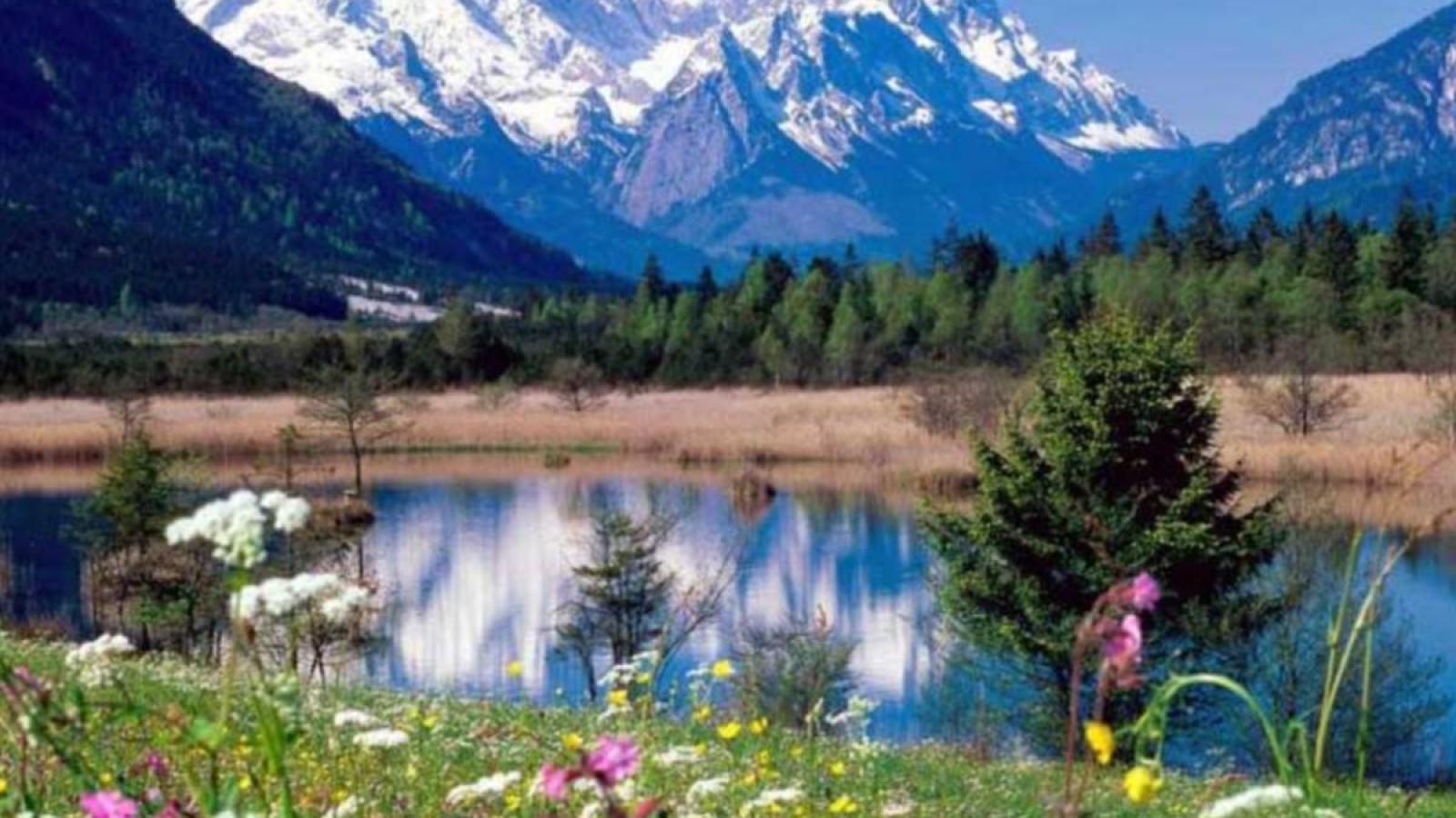 Алтын Орданың мұрагерлеріміз, Мәскеу княздігі алым-салық төледі- Назарбаев.