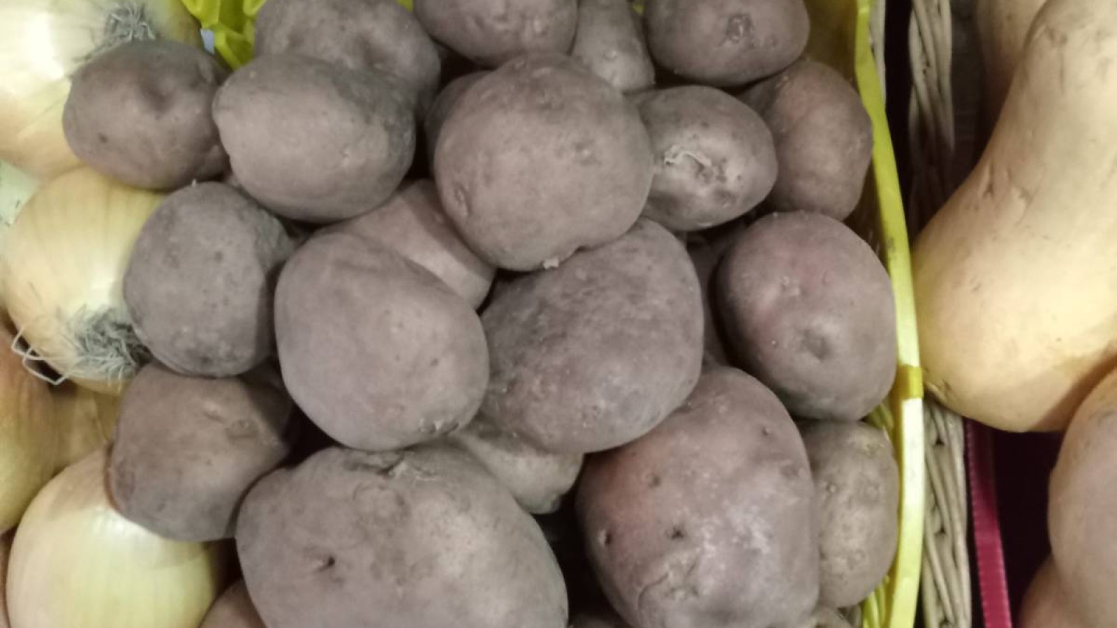 Онлайн жұмыс: Ақтөбелік шенділер WhatsApp-пен ғана бақылау жүргізетінін мойындады.