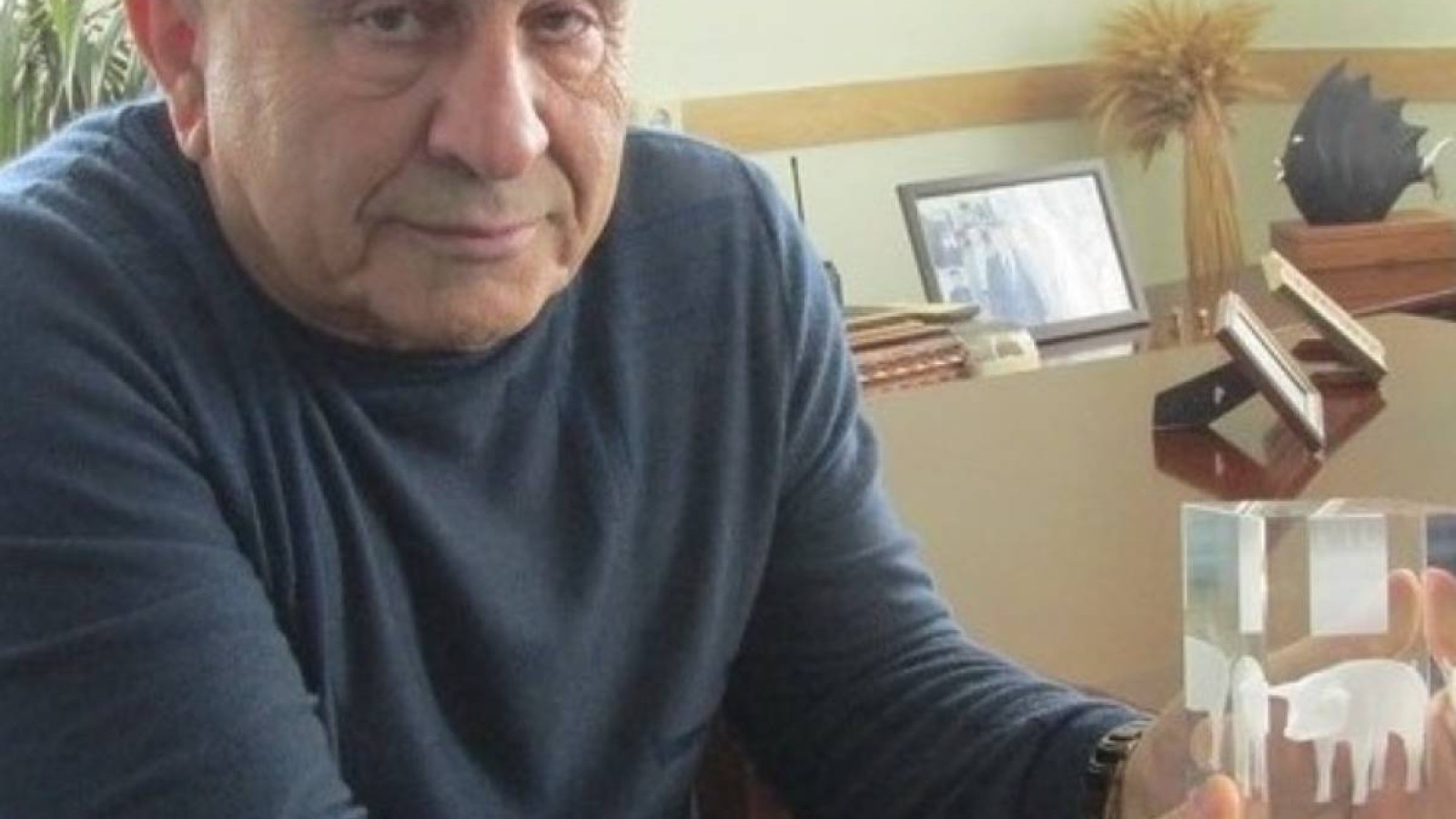 Ақтөбеде бір ауылды өлексемен шіріткен шошқа фермасының басшысы үйқамақта.