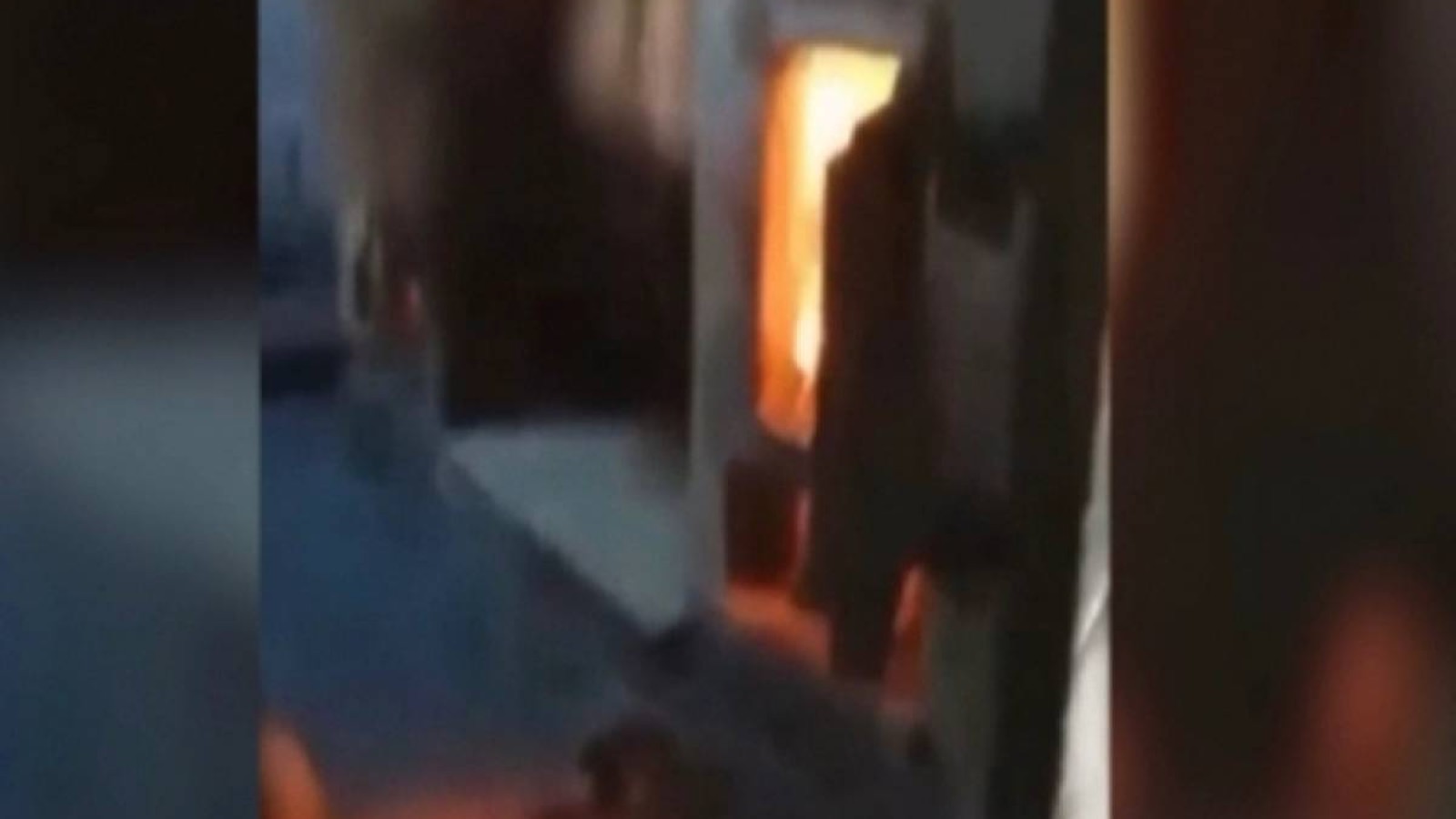 Ақтөбеде ит өртеген ветеринарлар елді шошытты.