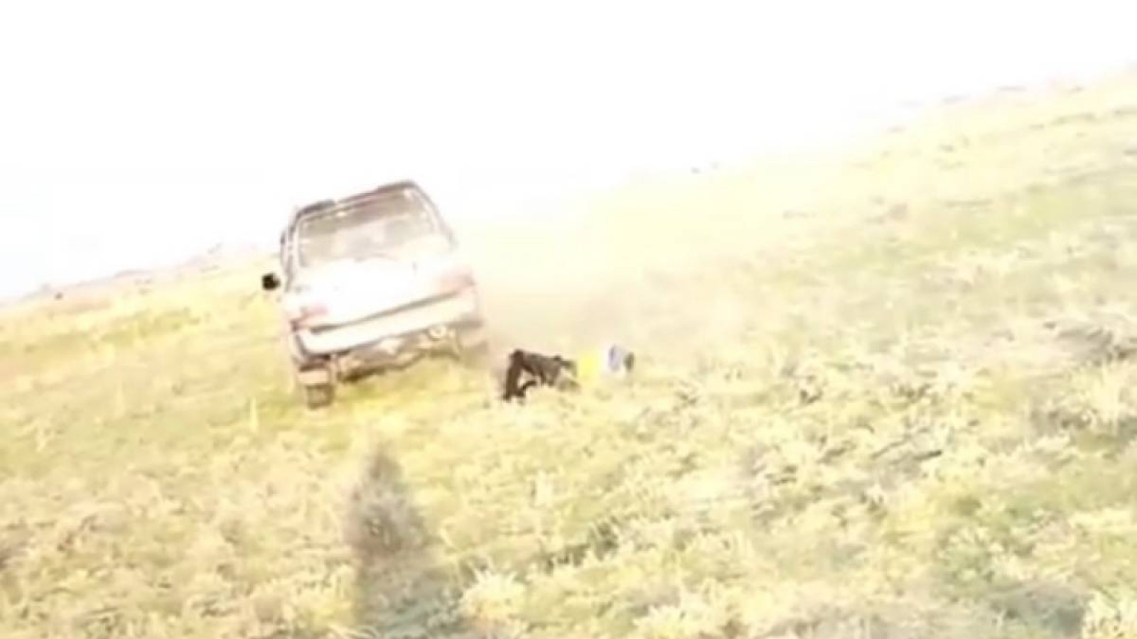 Алматы облысында фермер малшыны машинамен қағып, аяусыз ұрған.