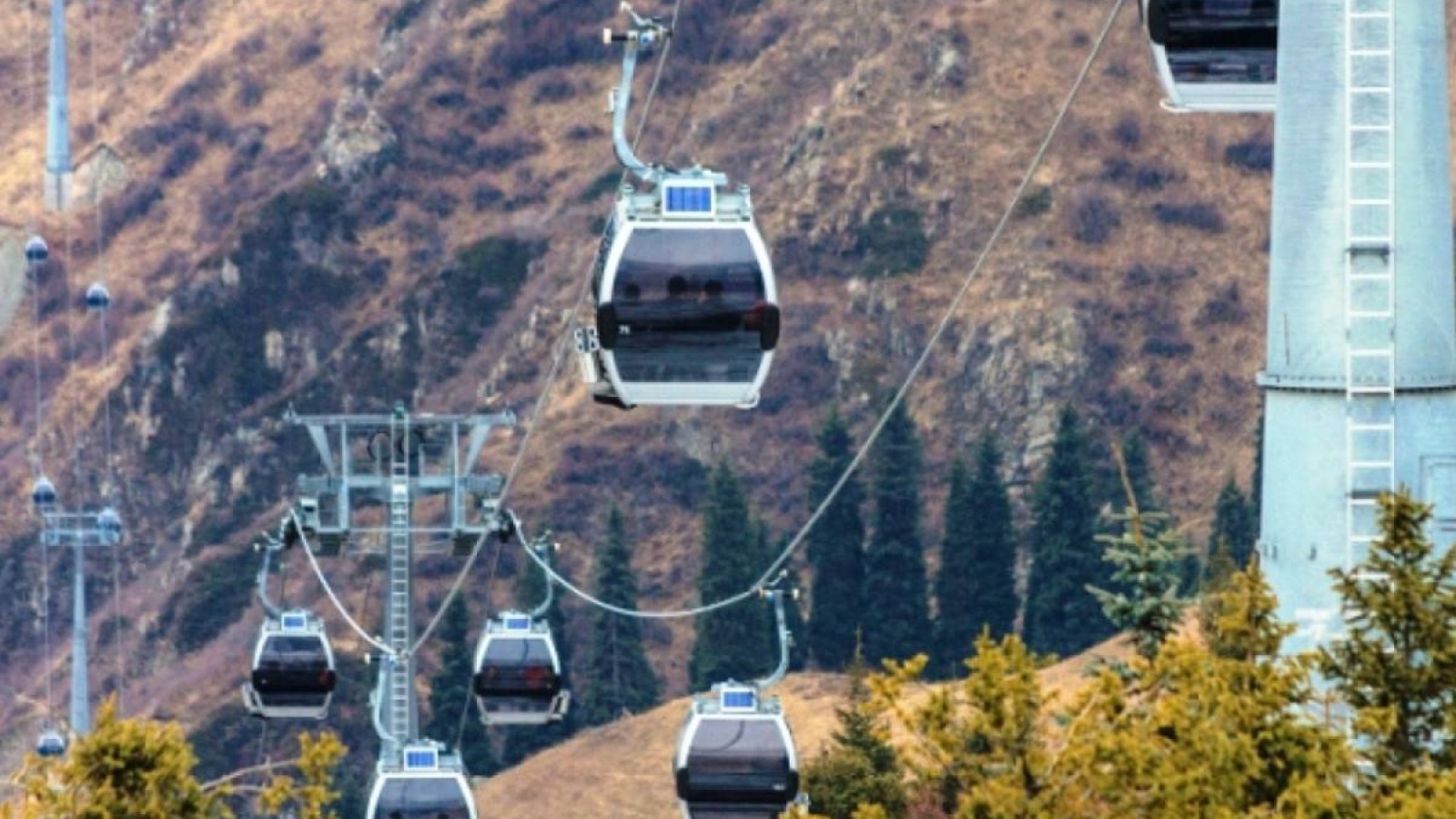 Мамин Шымбұлақтың тағдырна неге алаңсыз.