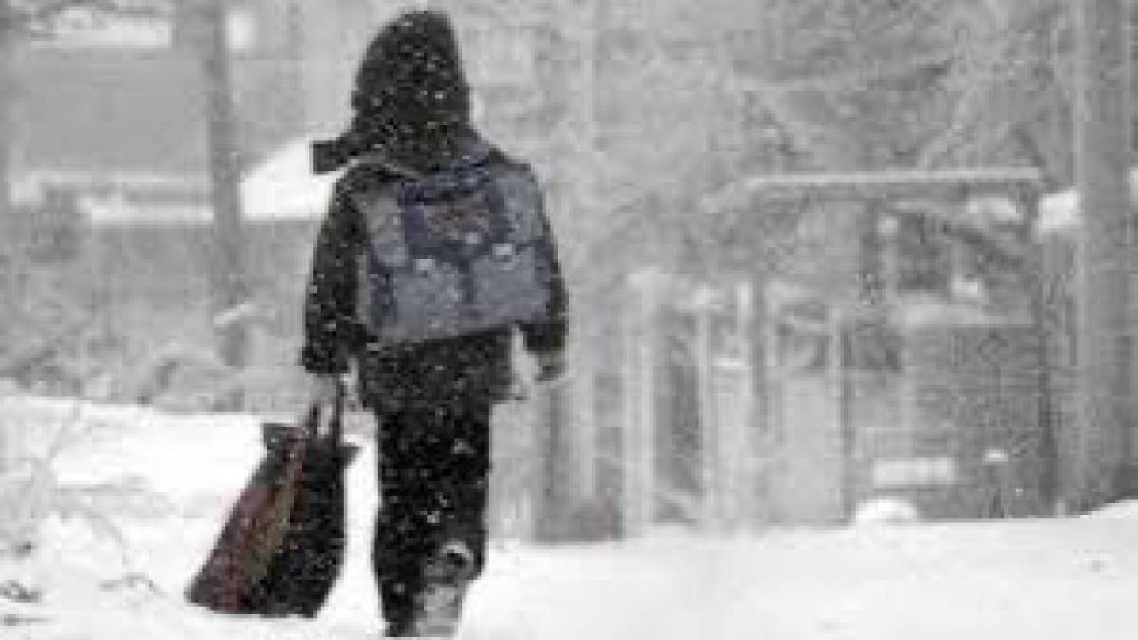 Астанада 0-9 сынып оқушыларына сабақ қашықтан оқыту форматына ауысты.