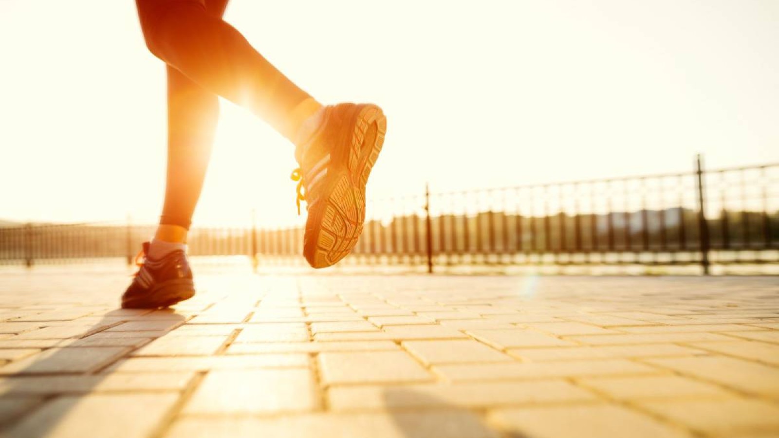 Спорт саласында жүйелі жемқорлық тәуекелдері анықталды.