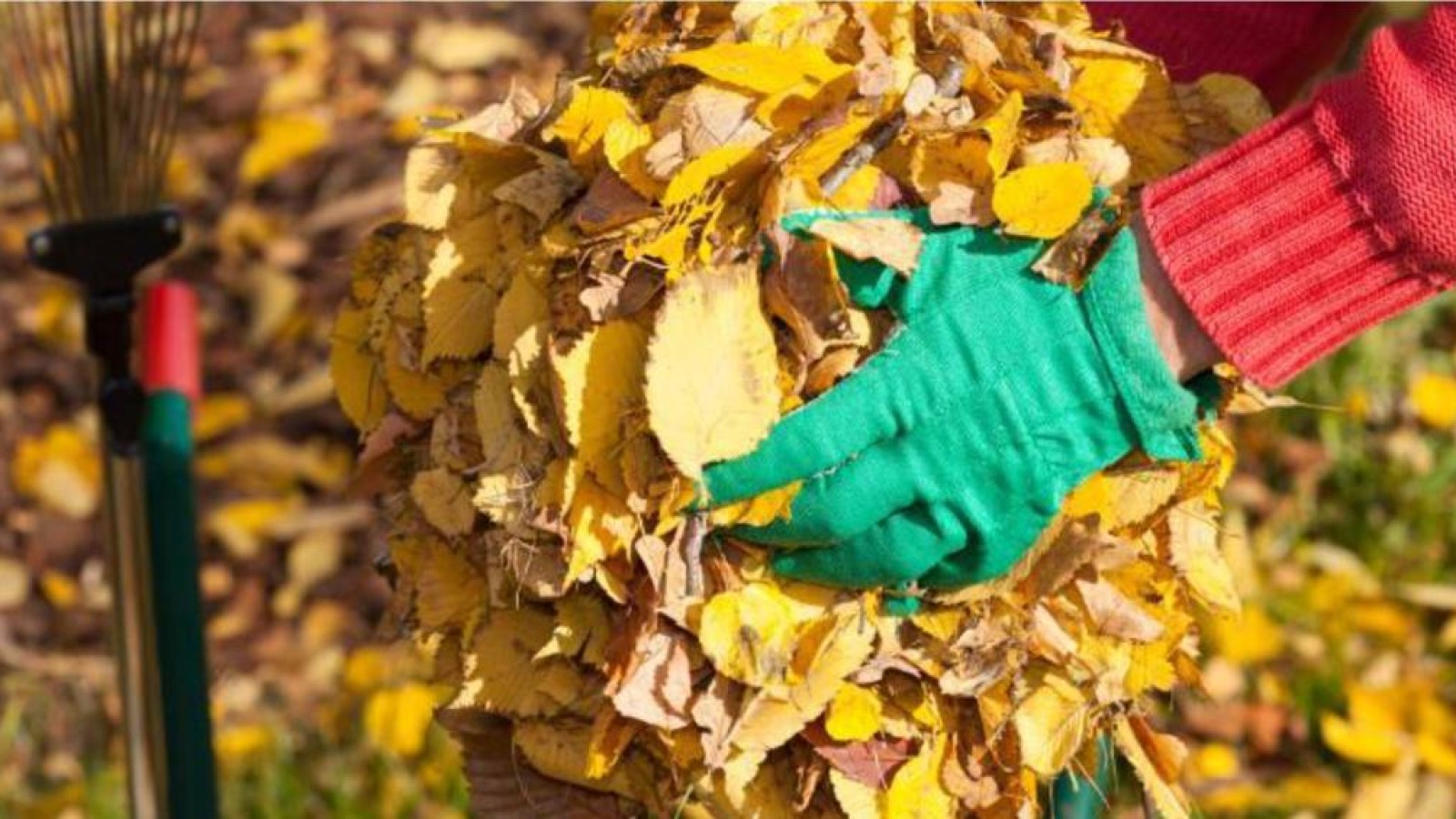 Министр мен әкімдіктің айтысы: Білім ордасының басшылары «таяқ жеді».