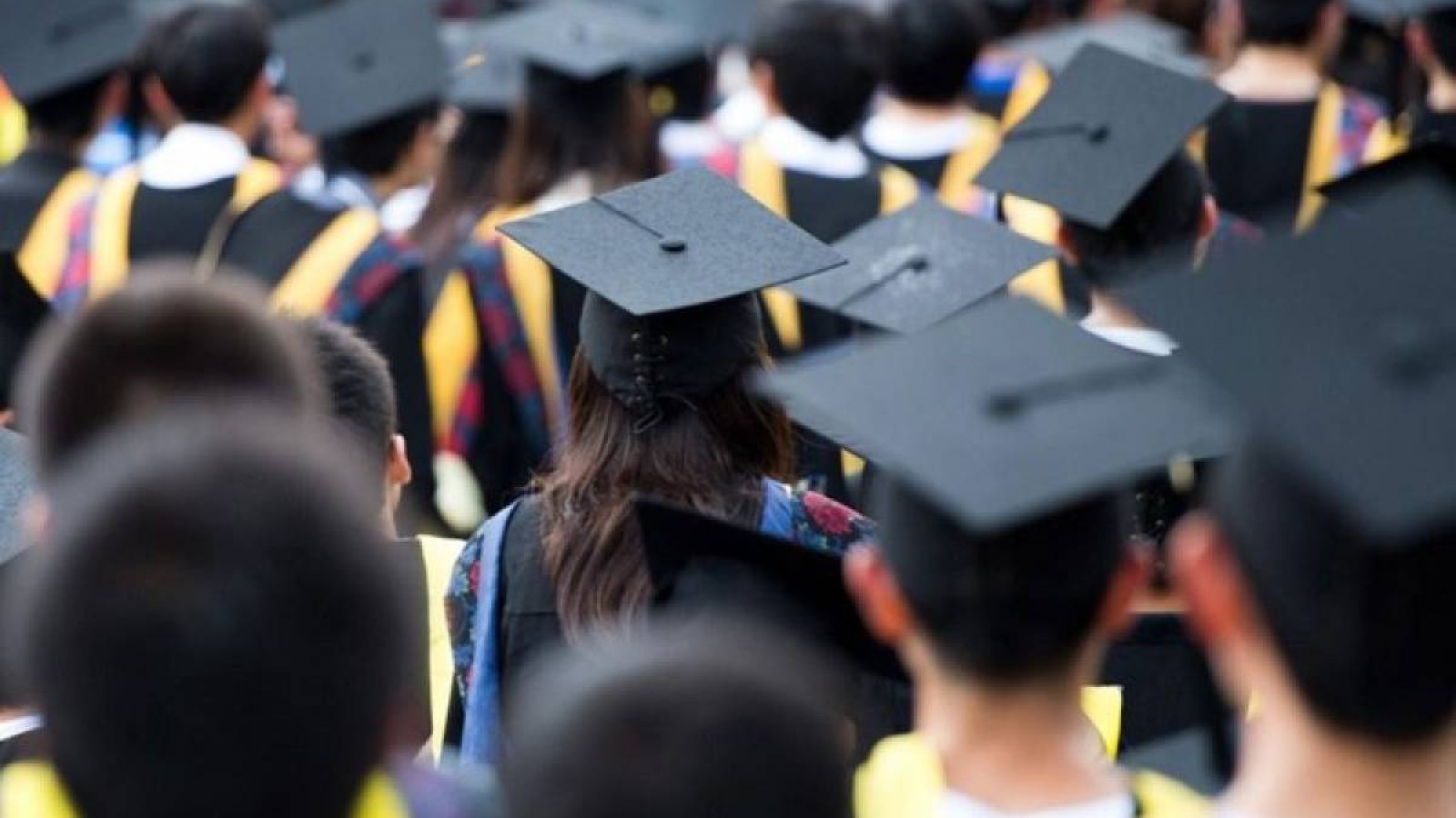 Қазақстанда тағы бірнеше оқу орны жабылады.