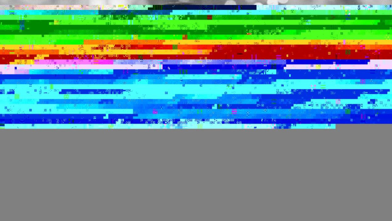 Салтанат Нүкенованың өліміне қатысты тергеу аяқталды.