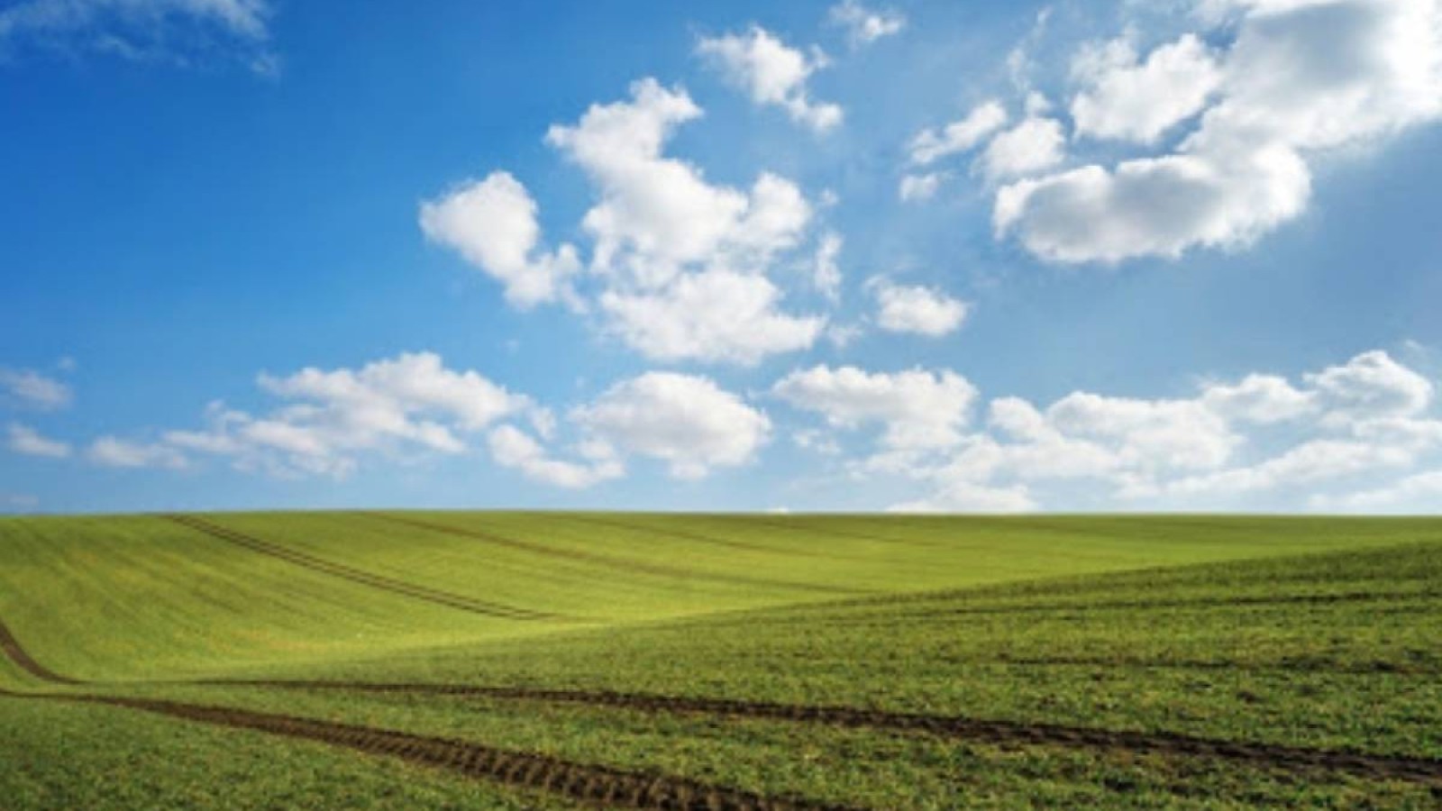 Жеті бірдей шетелдік компания Қазақстан жерін жалға алды.