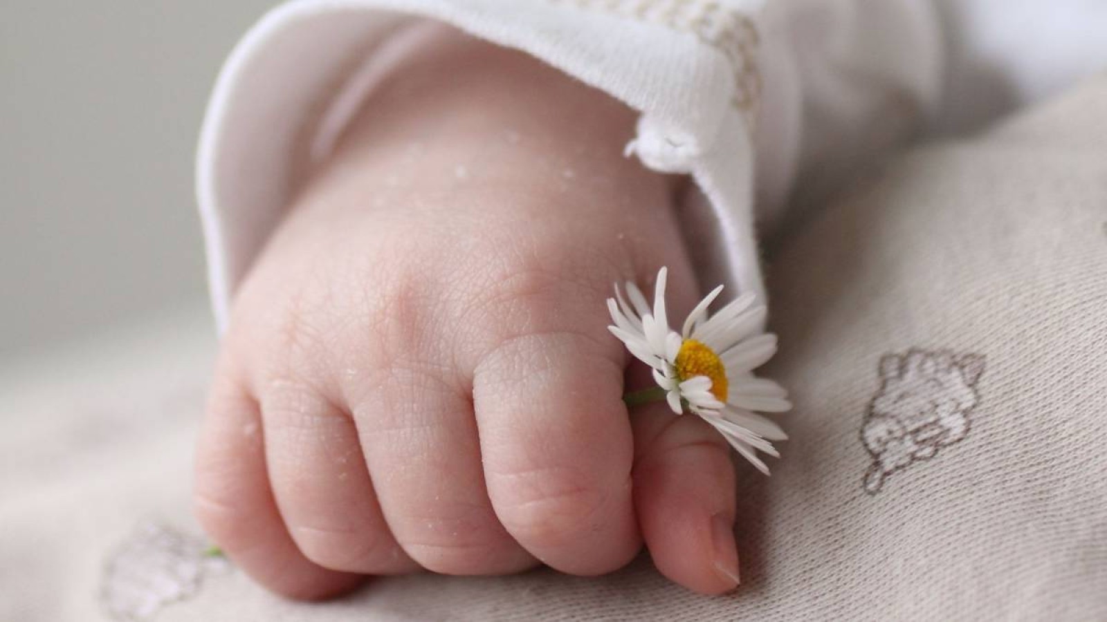 Жетісу тұрғыны әр баласын 1 млн теңгеден сатқан.