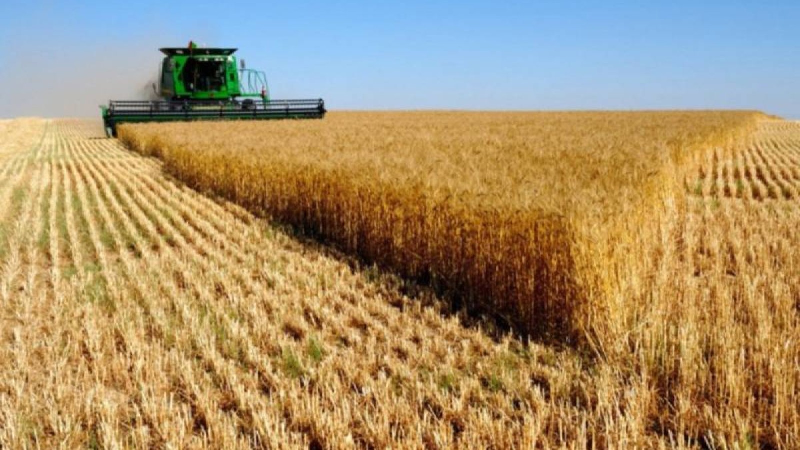 Елімізде шетелдіктер пайдаланып отырған жер көлемі белгілі болды.