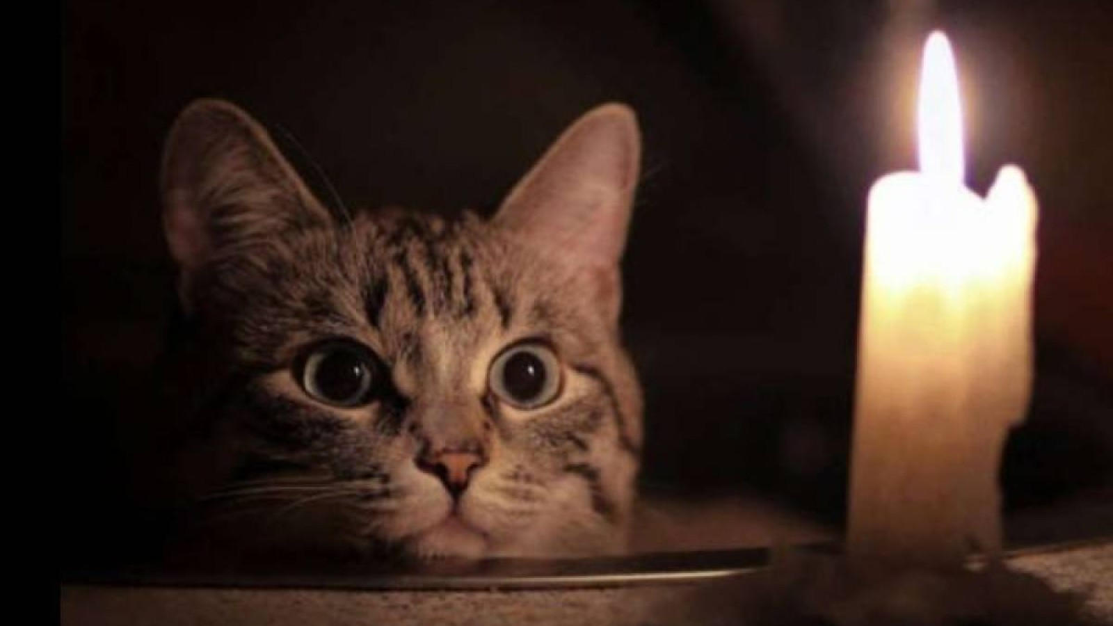 Түркістанда 60-қа тарта елді мекен жарықсыз қалды.