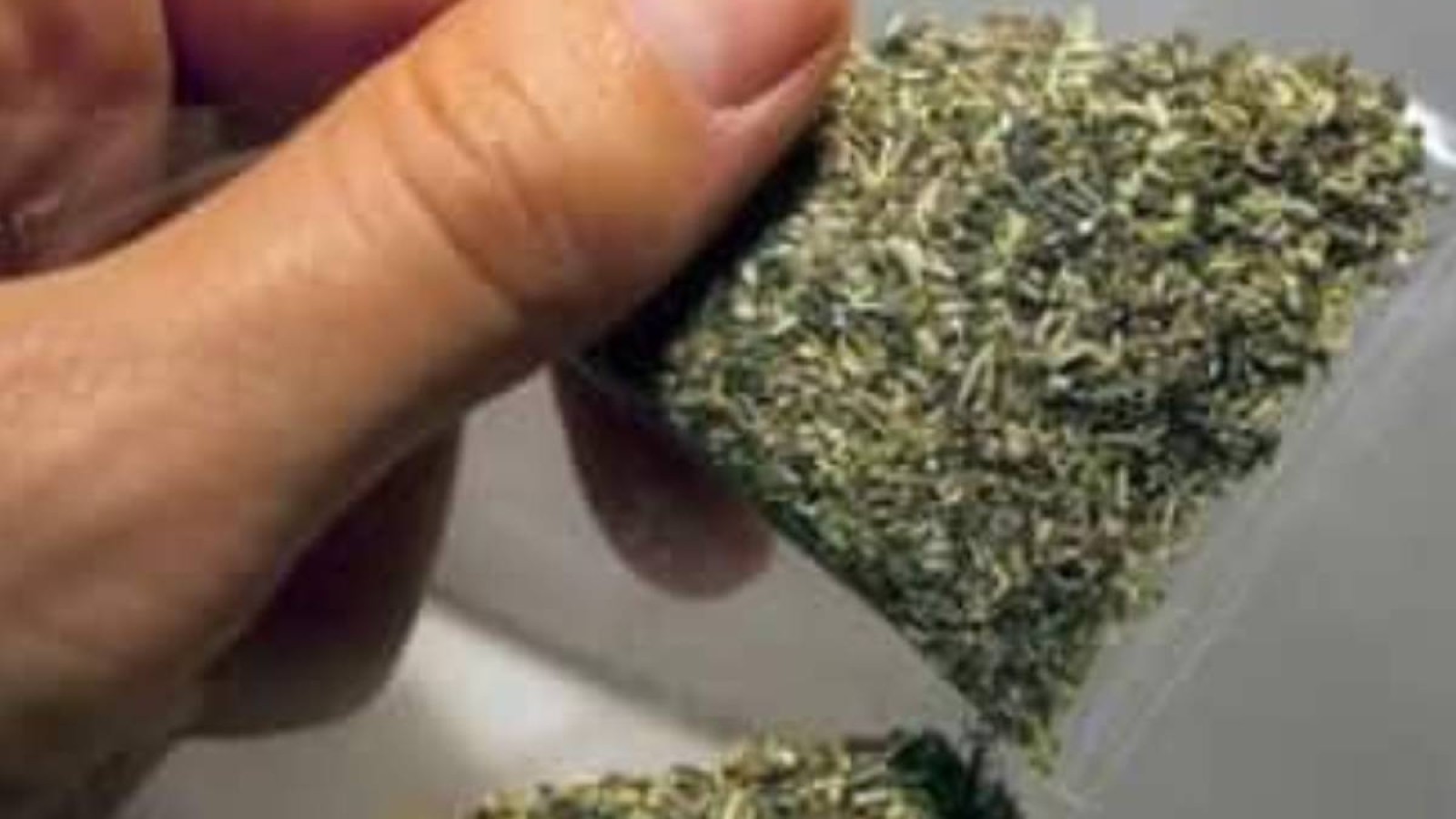 Қостанайда сотталушы изоляторға тік ішегіне «гашиш» салып кірмек болды.