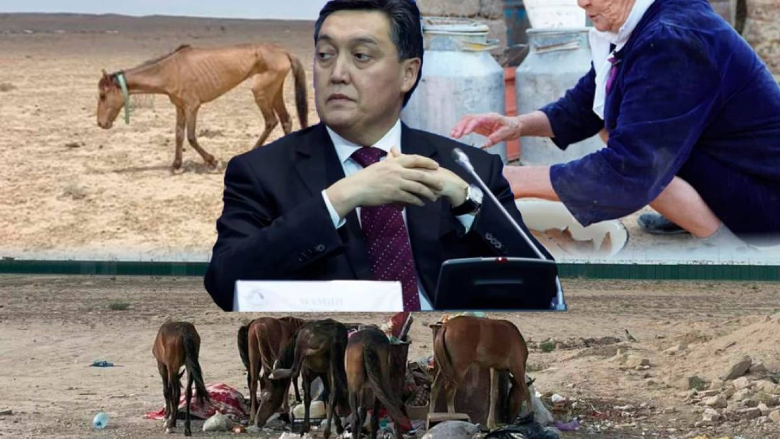 Қуаңшылық жайлаған Маңғыстауға екі айдан кейін келген Мамин мазаққа қалды.