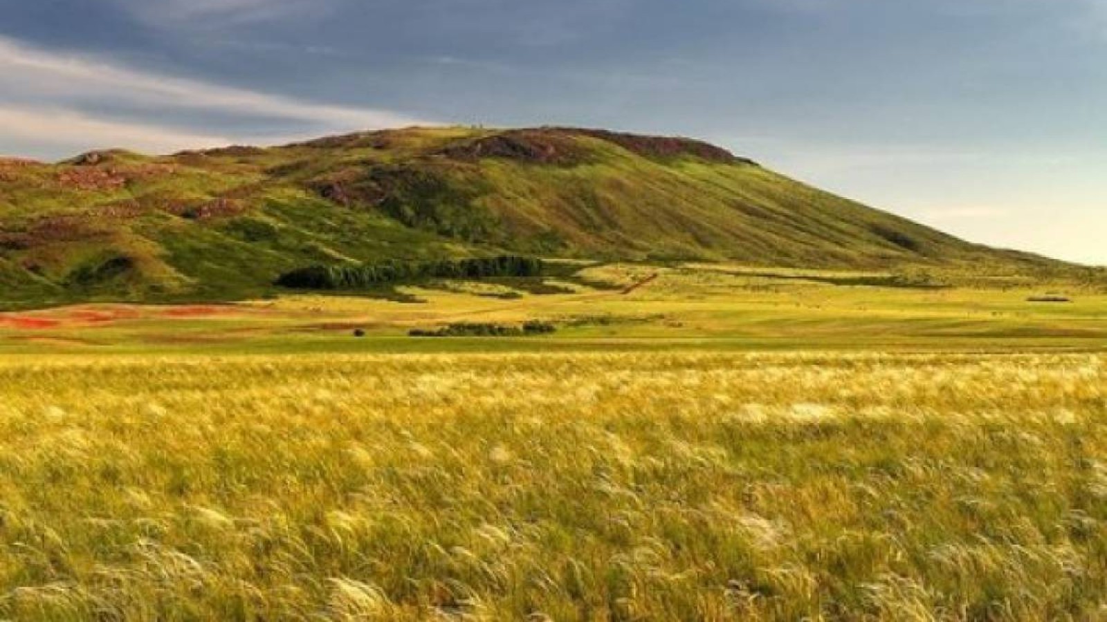 «Жерді Қазақстан азаматтарына да сатуға қарсымын!».