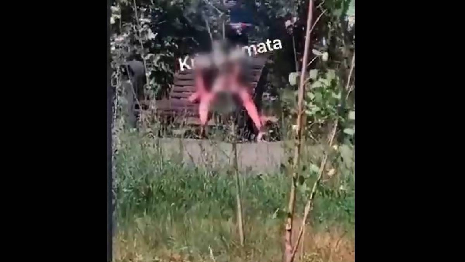 Алматыда көшедегі орындықта жыныстық қатынасқа түскен ер мен әйелді полиция әрең тоқтатты (Видео).