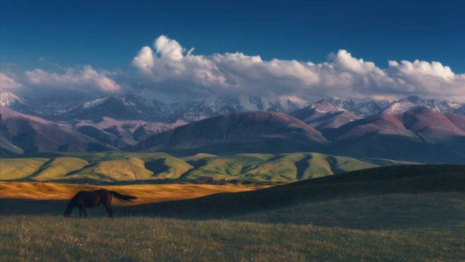 Үшқоңыр тауы бір азаматтың меншігіне өтіп кеткен.