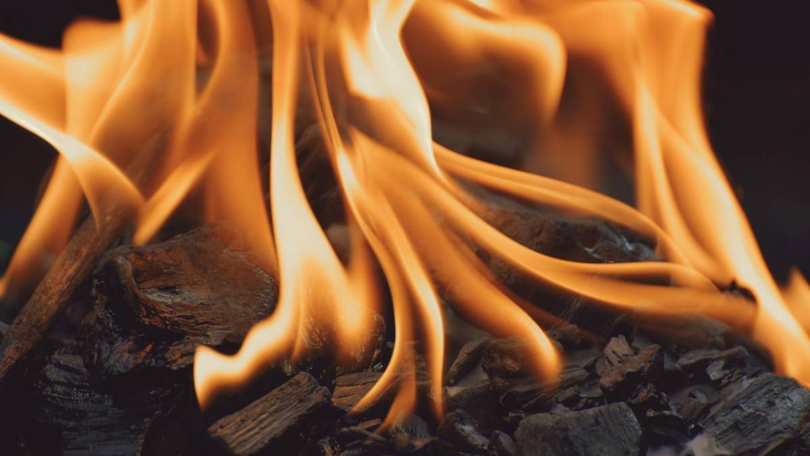 БҚО-да улы газдан бес бала қаза тапты.