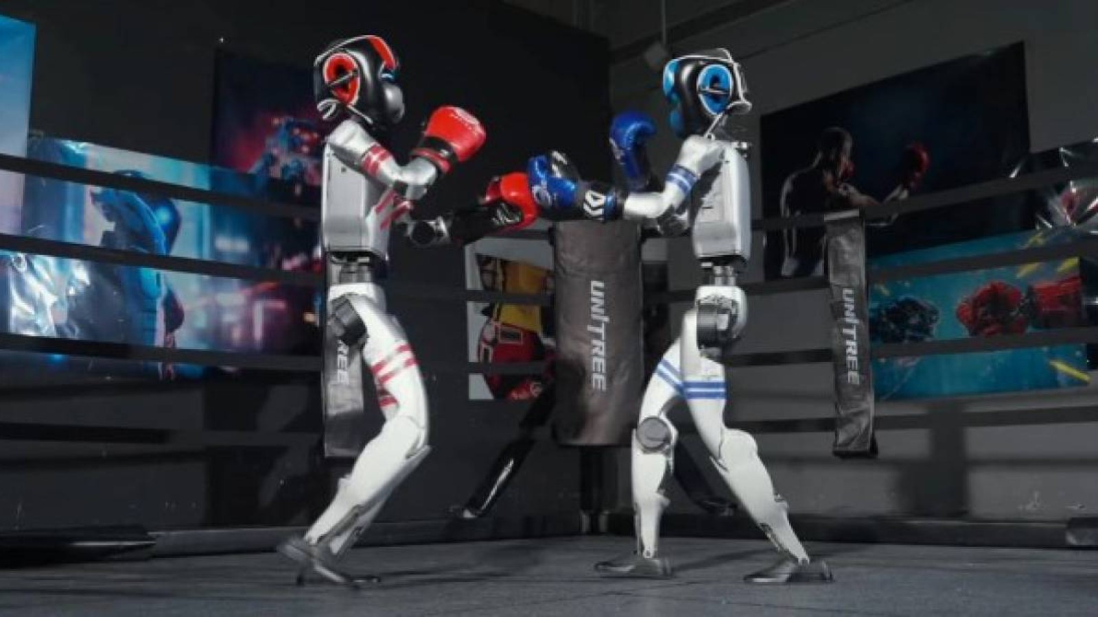 Қытайда роботтар бокс турниріне қатысады.
