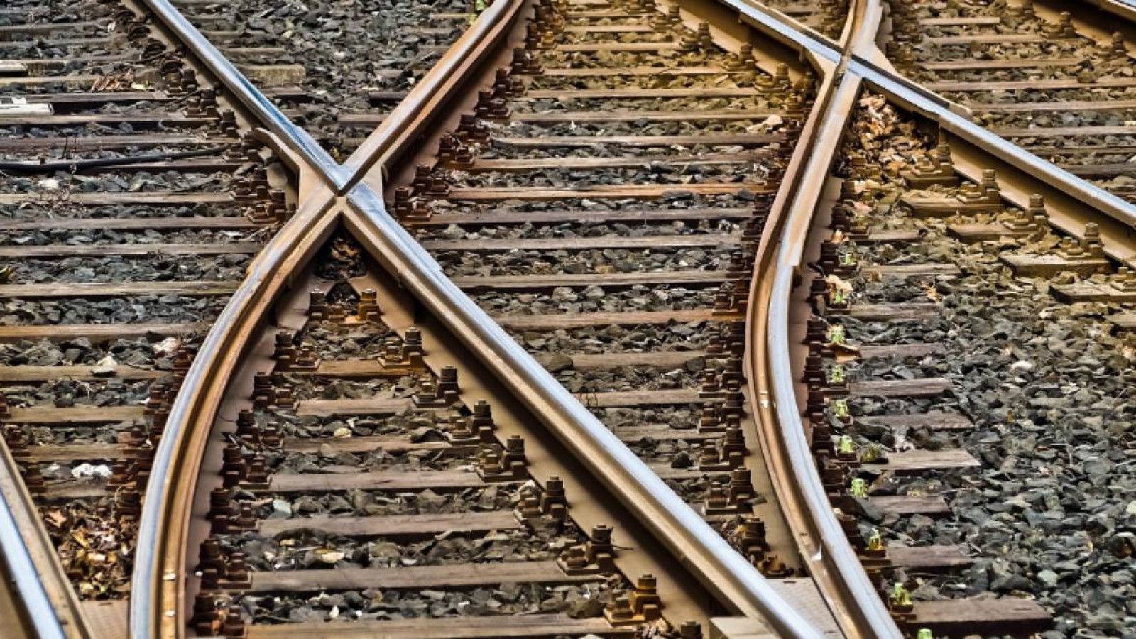 Алматы облысында теміржол бойына мәйітті тастаған күдікті ұсталды.