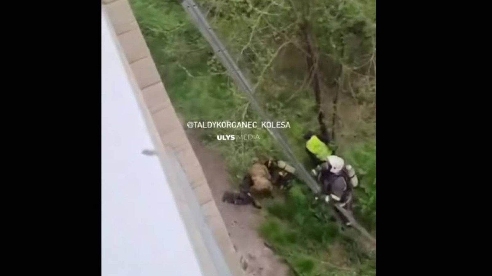 Техника қайда? Талдықорғанда өрт сөндіруші үшінші қабаттан құлап кетті.