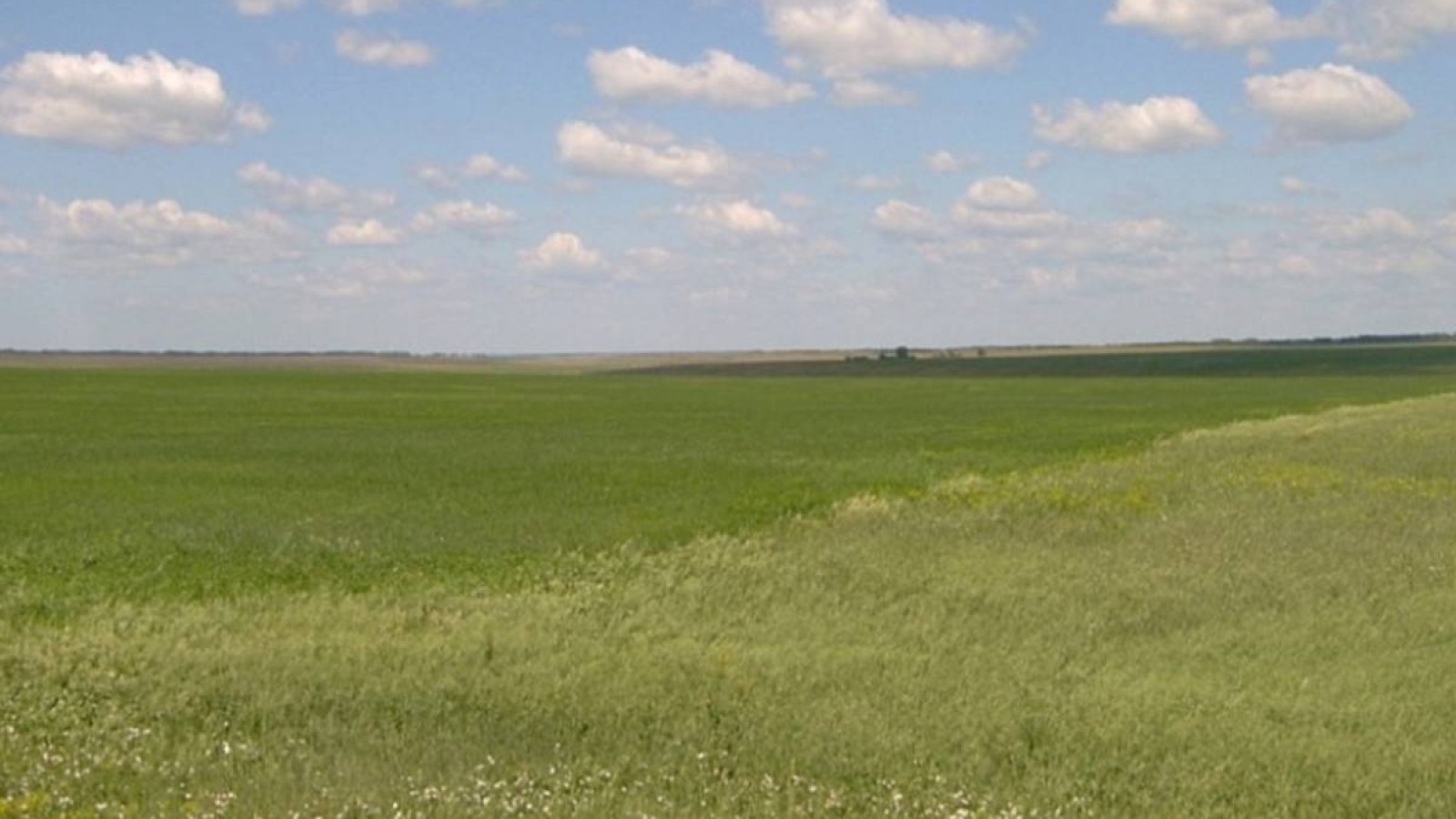 Тоқаев әкімдердің жайылымдық жерді иемденіп алған байлардың алдында қауқарсыз екенін айтты.