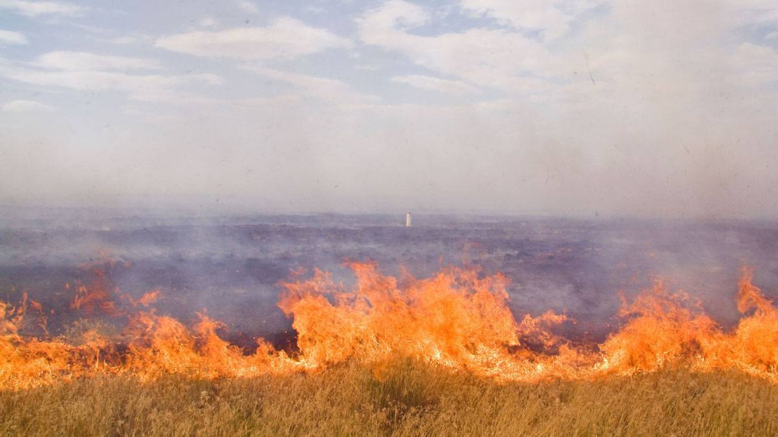 Қазгидромед  27 маусымда күннің қатты ысуынан бірнеше өңірде өрт шығу қаупі барын болжады.