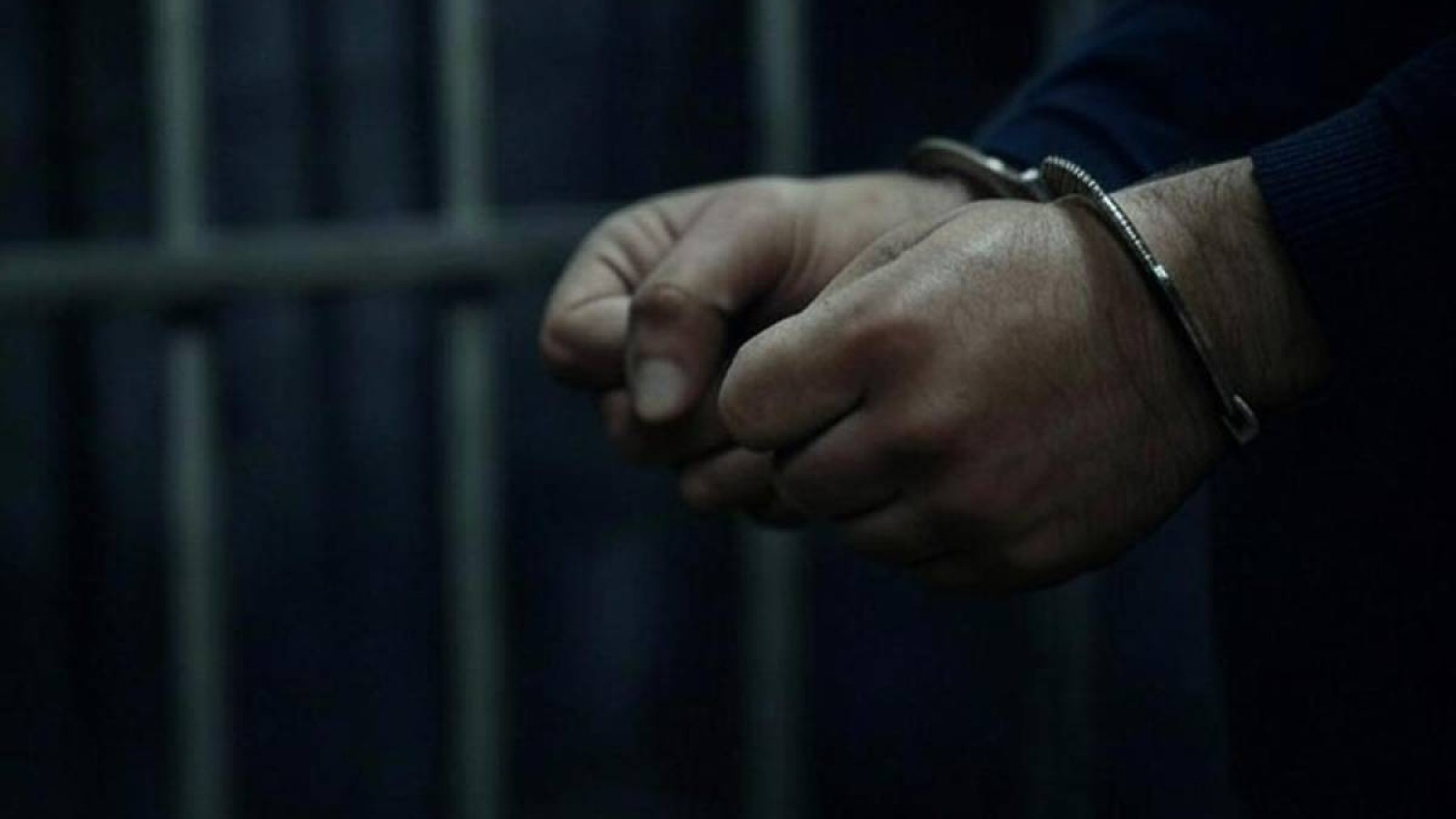 Жетісуда орманшылар қызыл кітапқа енген қарақұйрықтарды заңсыз аулағаны үшін сотталды.