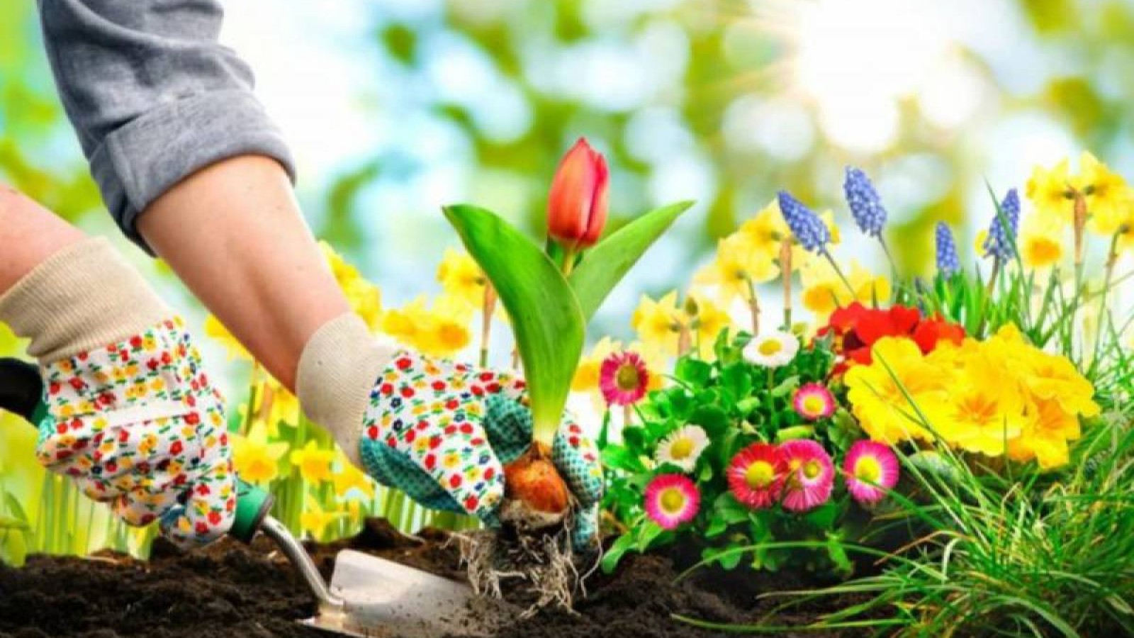 Биыл елімізде Наурыз мерекесі ерекше атап өтіледі.