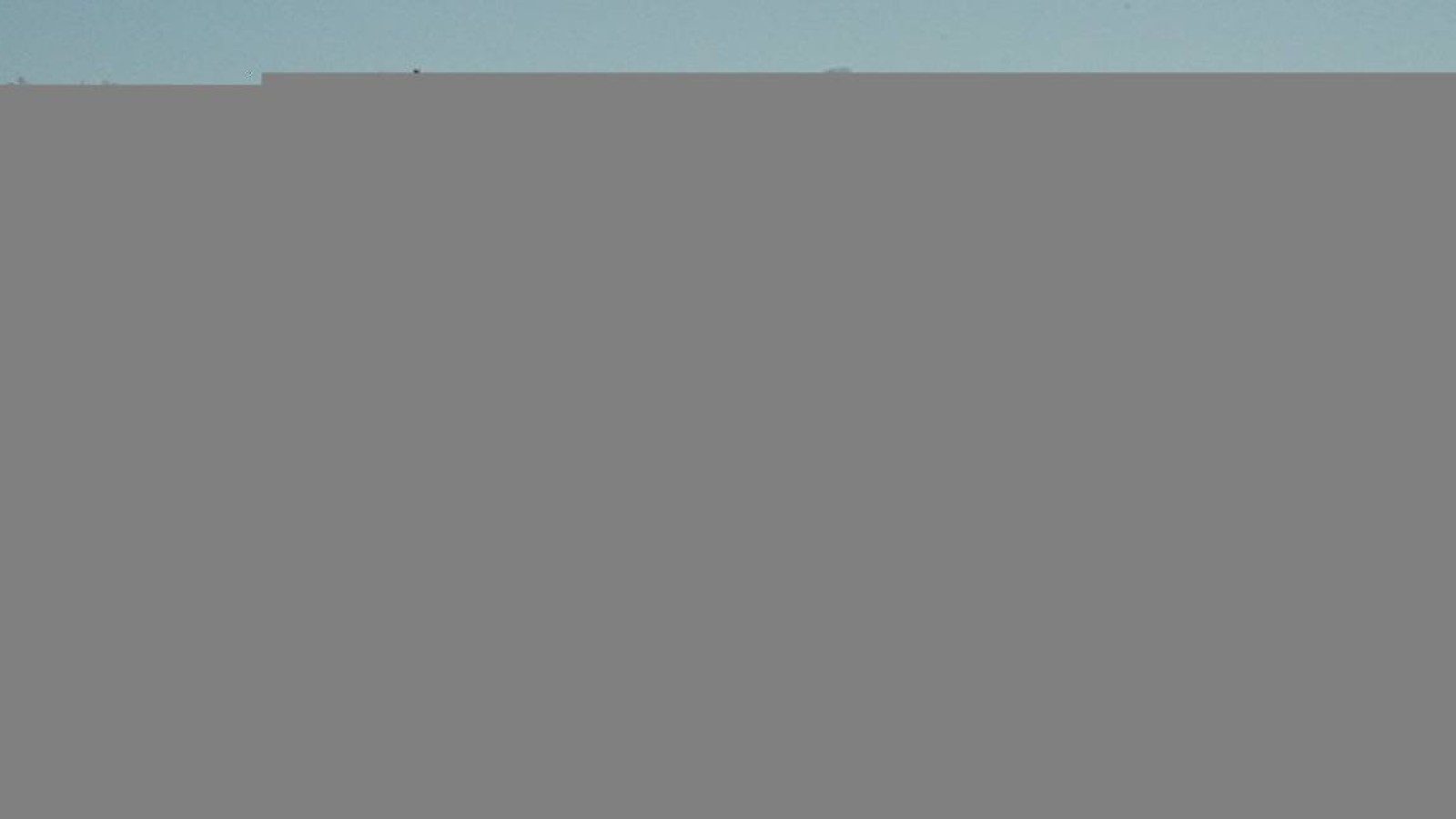 Екі қазақ Қытайдан Қазақстанға қашып келді (видео).