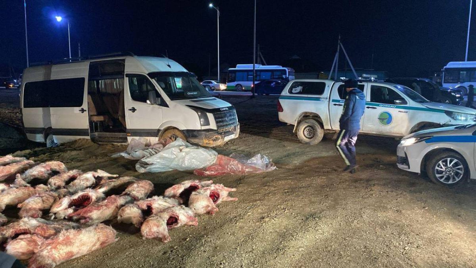 Қызылорда облысында 120-дан астам киікті атқан тұрғындар ұсталды.