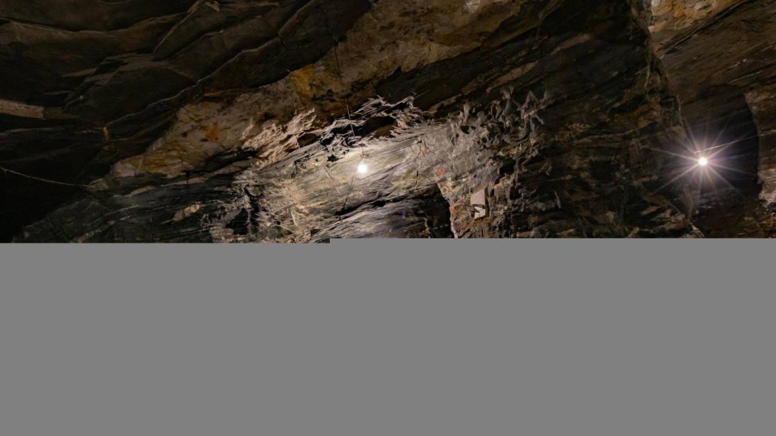 Шахтерлер өлімі: «Қазақмыс» иелері Ким мен Огай ұшақ сатып алған.