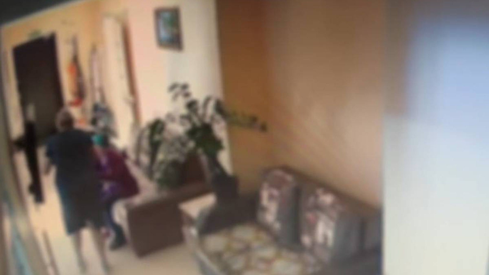 Павлодар облысындағы пансионатта қарт адамдарды азаптаған.