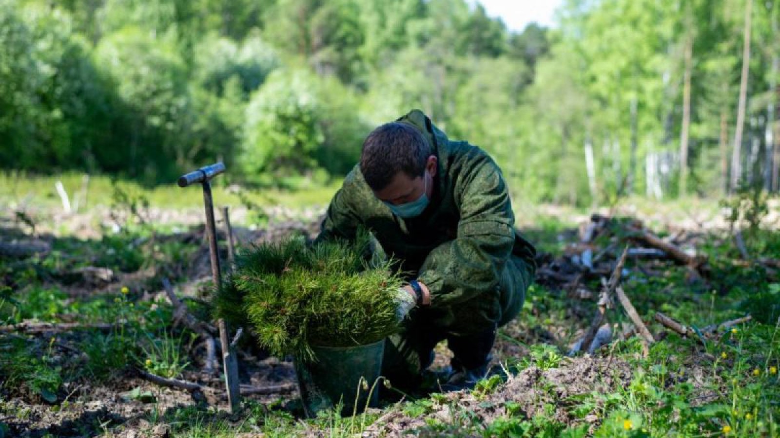Орман қоры мақсатсыз пайдаланылған.