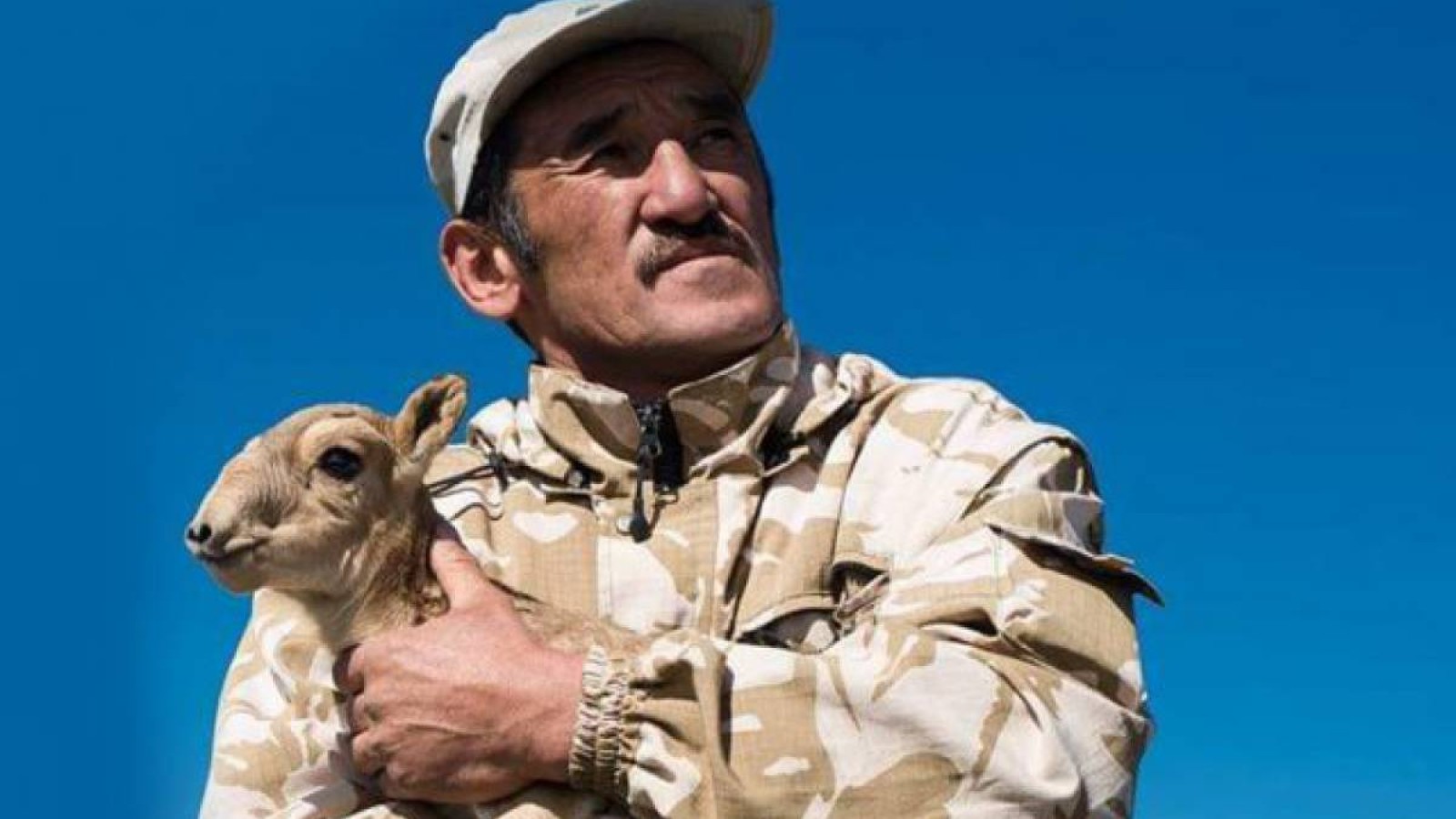 Екі министрліктің екі түрлі жауабы: Браконьерлер ұсталды ма, ұсталмады ма?.