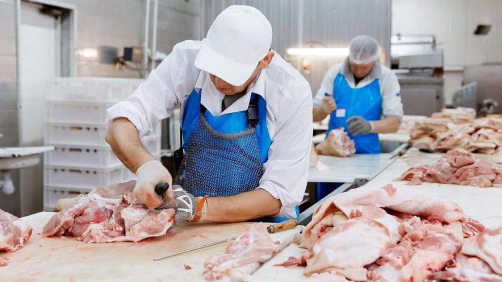 Қазақстанда ет өндірісі артып келеді.