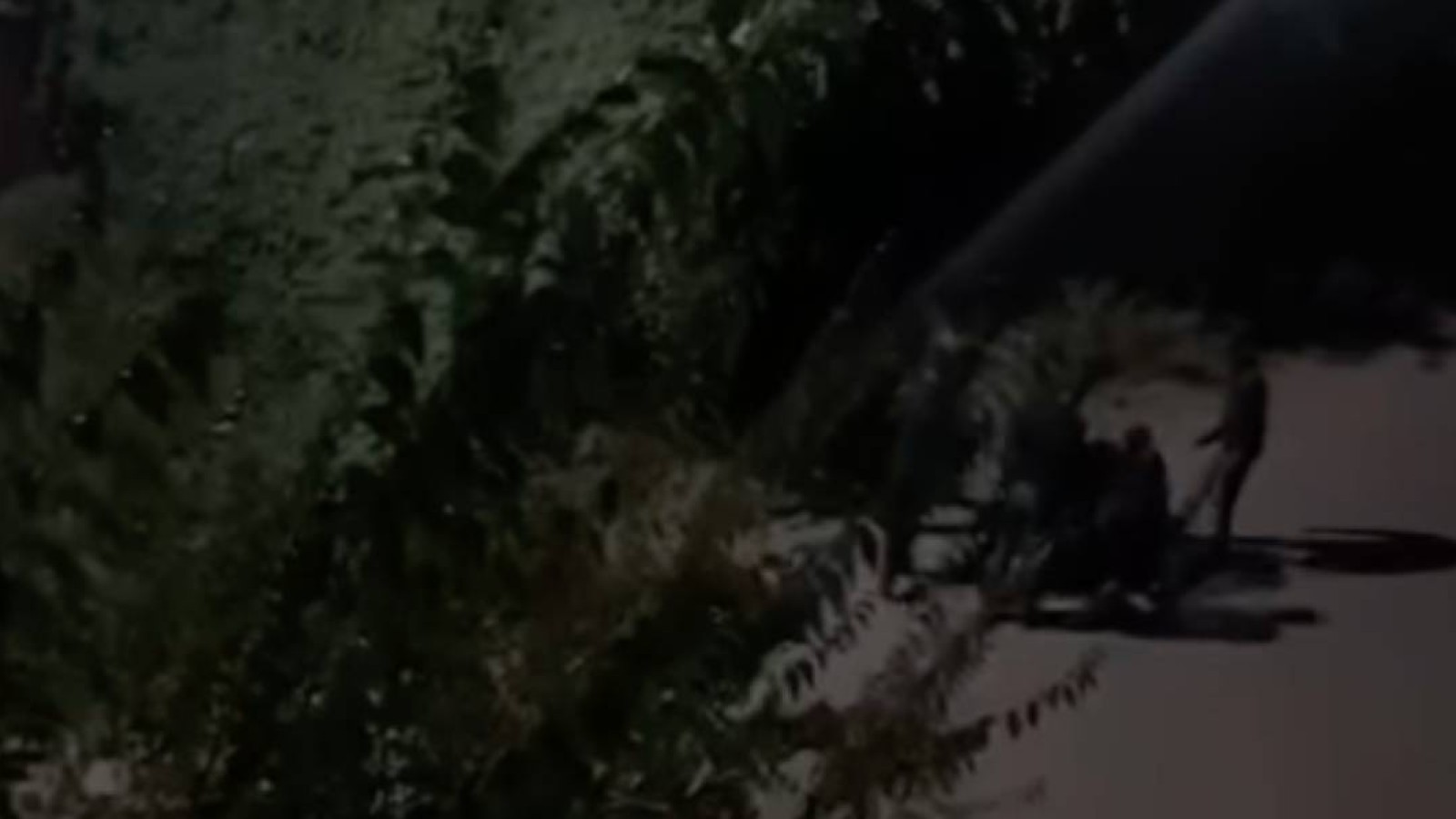 Талғарда жасөспірімнің  өлімі: жеті күдікті ұсталды.